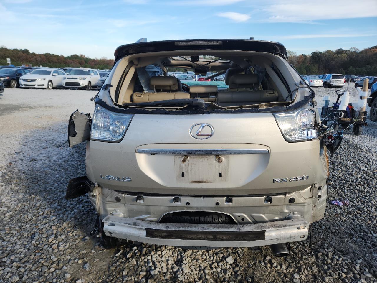 2007 Lexus Rx 350 VIN: JTJGK31U970003157 Lot: 91993325