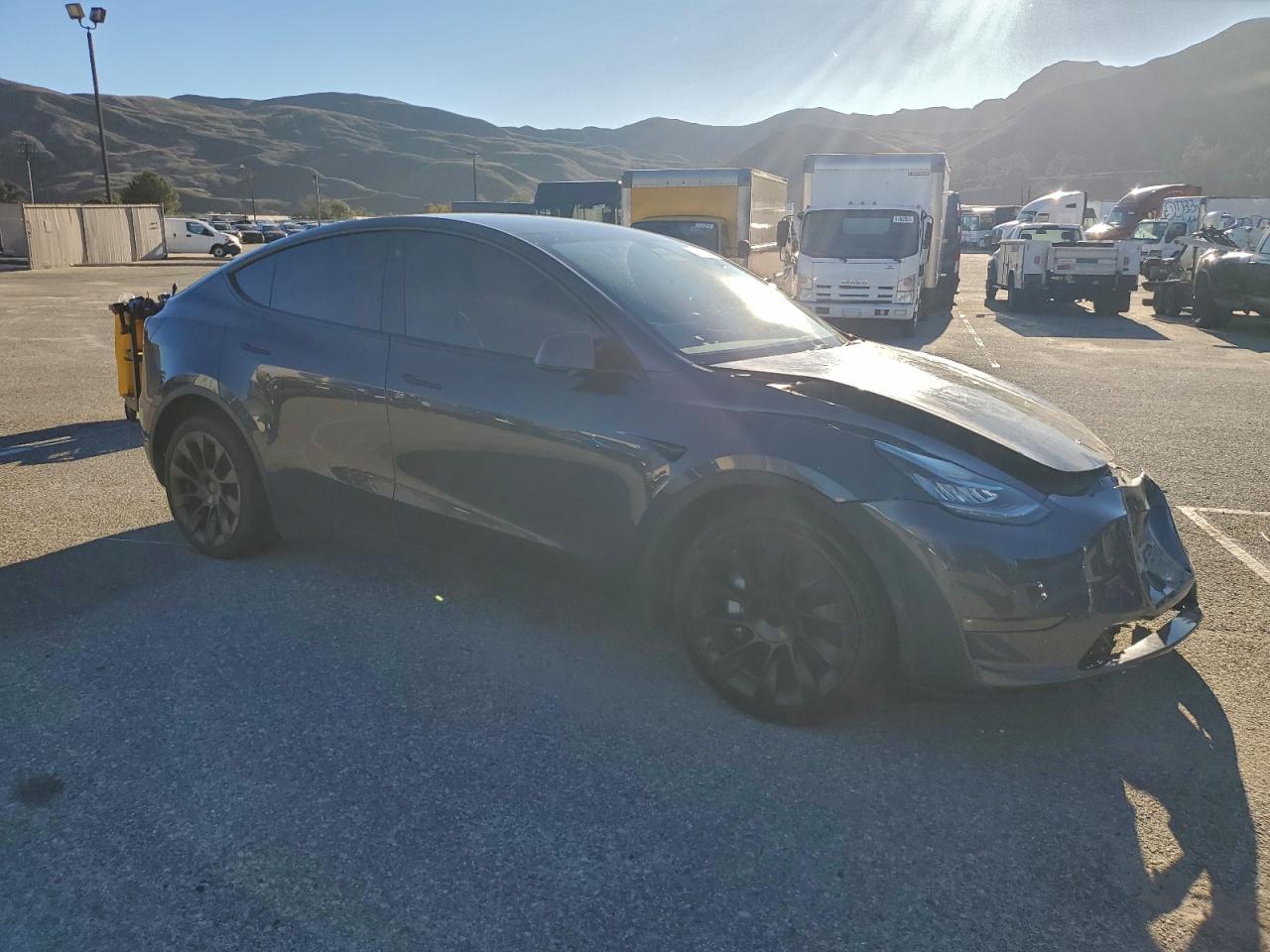 2022 Tesla Model Y VIN: 7SAYGDEE4NF446397 Lot: 94078825