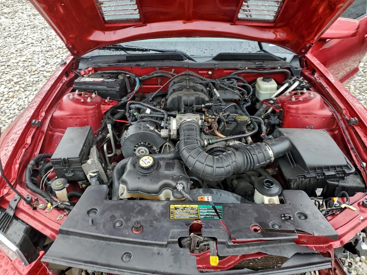 2005 Ford Mustang VIN: 1ZVFT80N155216040 Lot: 93871315