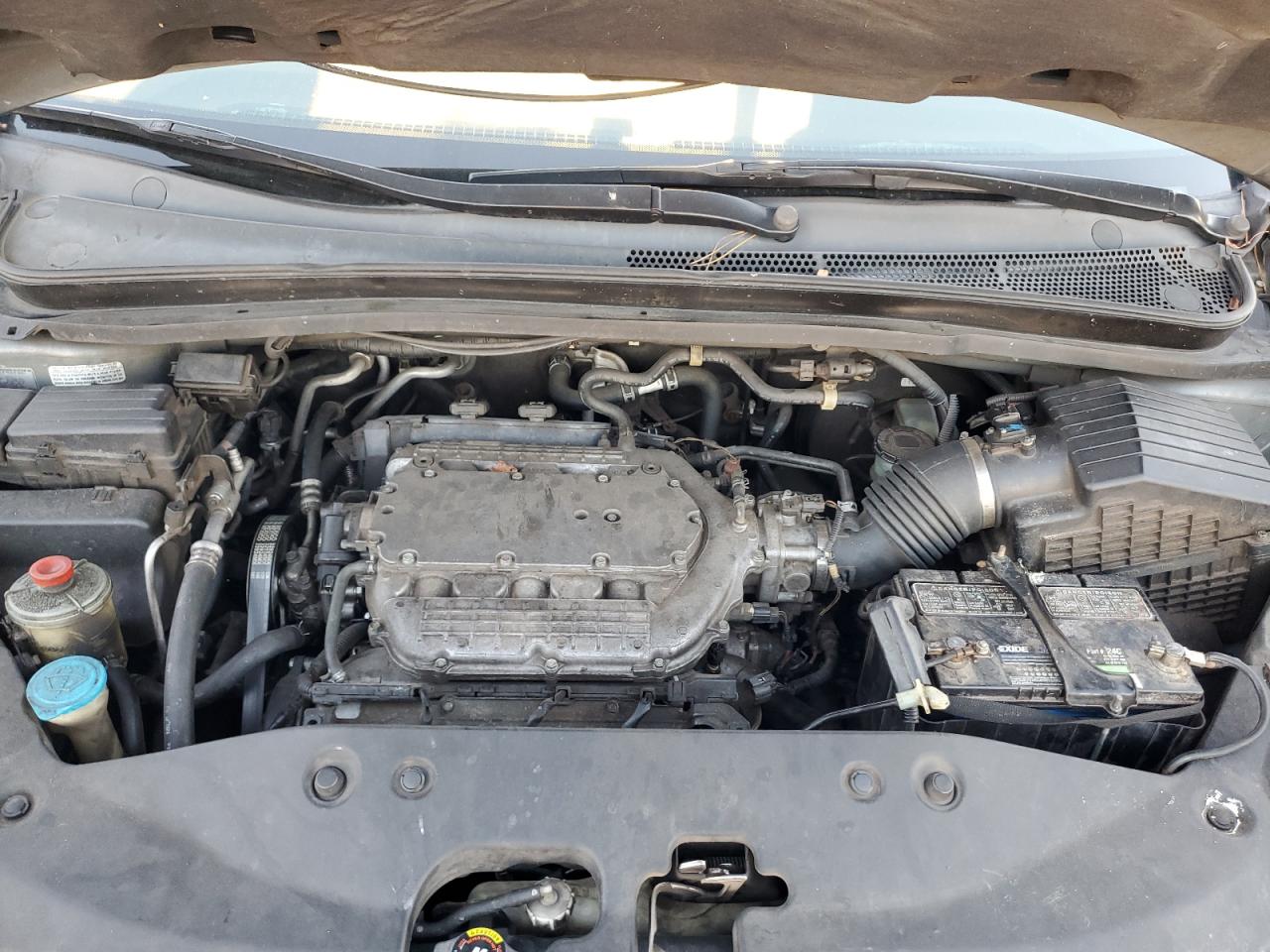 2007 Honda Odyssey Exl VIN: 5FNRL38797B430512 Lot: 93134955