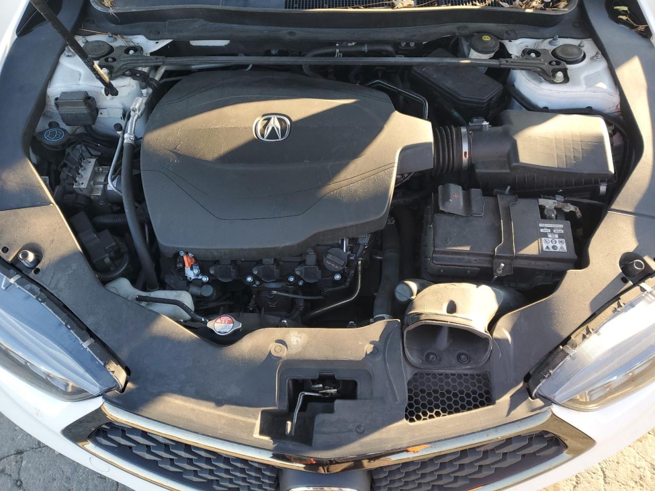 2020 Acura Tlx Technology VIN: 19UUB2F66LA003665 Lot: 93092505