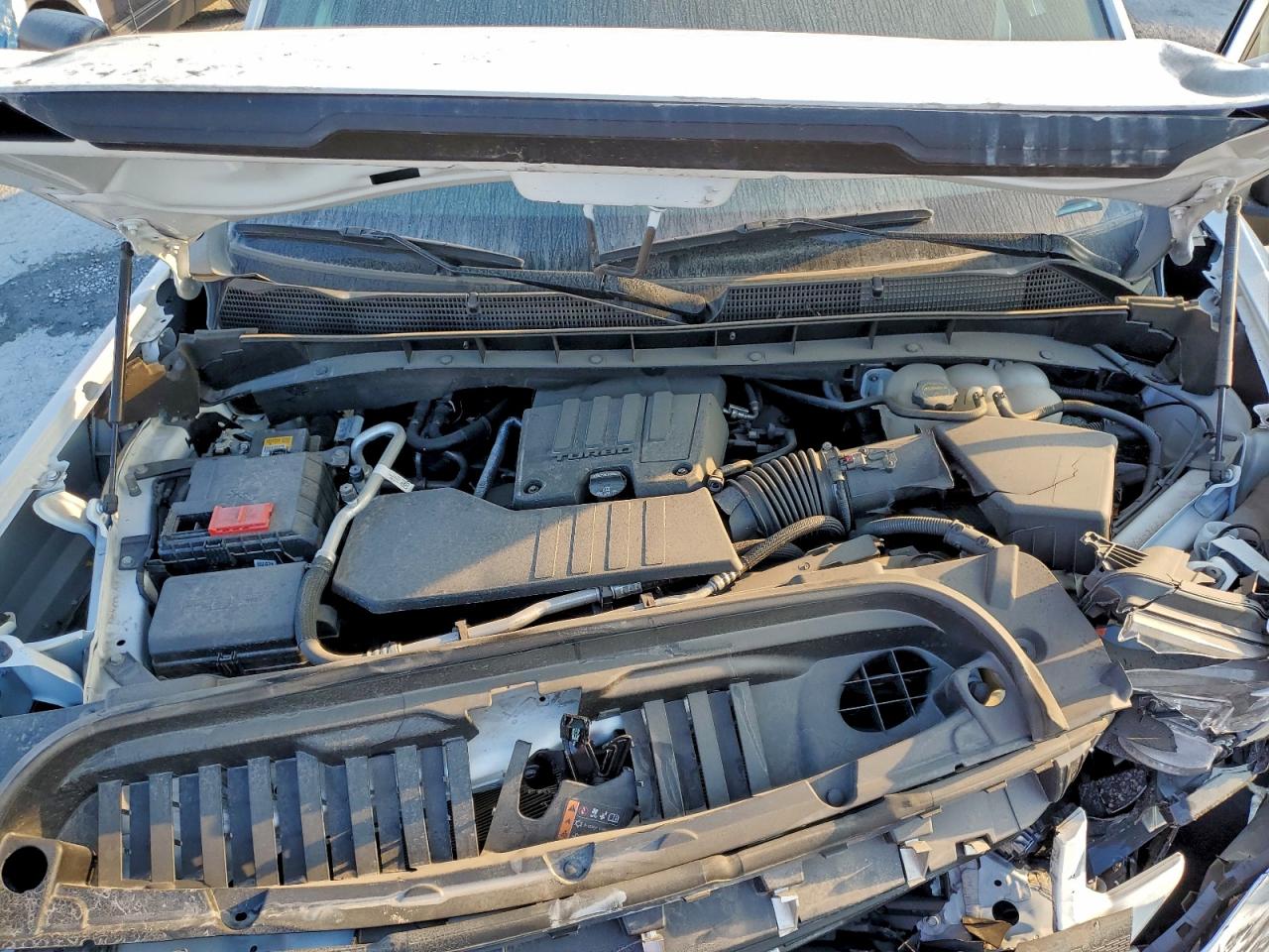 2024 GMC Sierra C1500 VIN: 3GTPHAEK9RG251888 Lot: 91135725