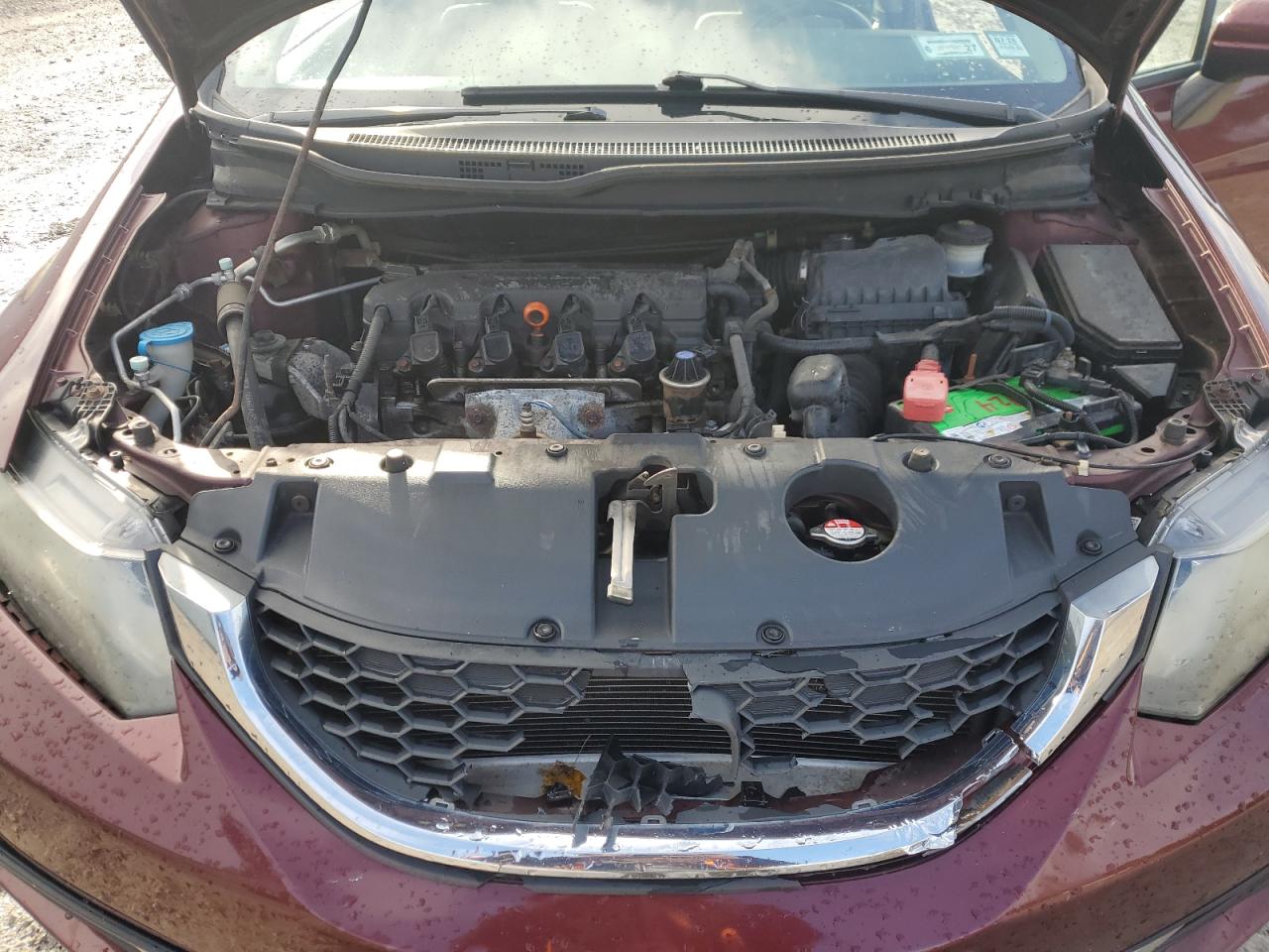 2014 Honda Civic Lx VIN: 19XFB2F53EE008286 Lot: 92490705