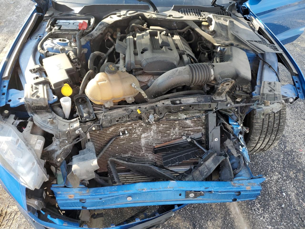 2019 Ford Mustang VIN: 1FATP8UH1K5179717 Lot: 91259495