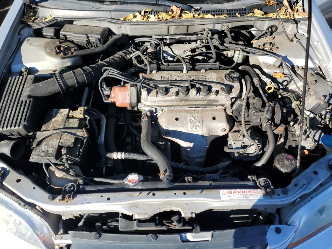 1999 Honda Accord Ex VIN: 1HGCG3254XA023984 Lot: 91731355