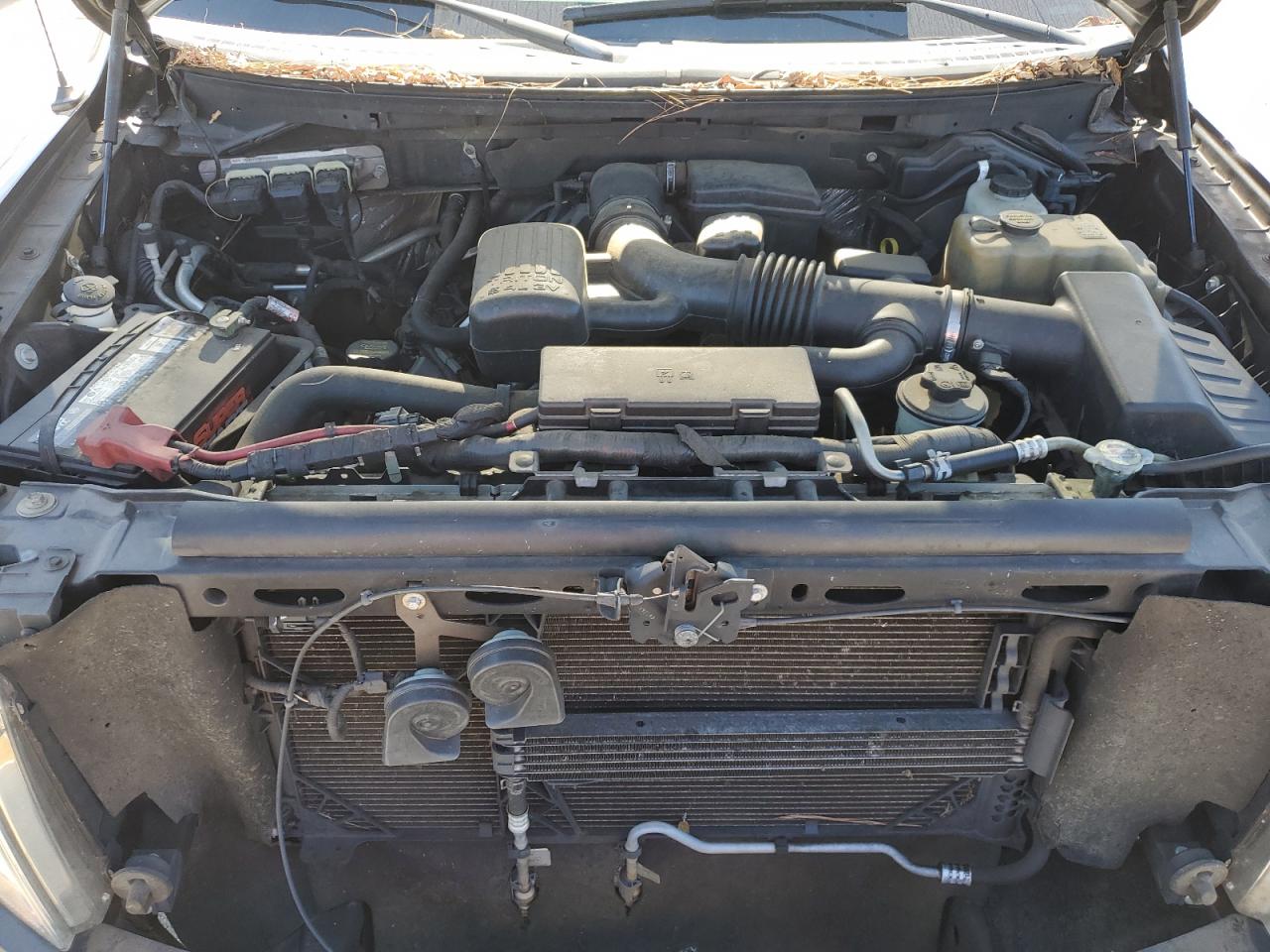 2010 Ford F150 Supercrew VIN: 1FTFW1EV9AFD01352 Lot: 91303335