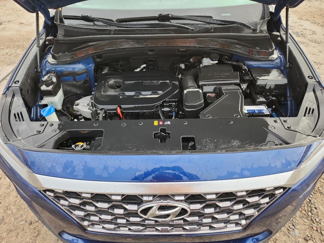 2020 Hyundai Santa Fe Sel VIN: 5NMS3CAD0LH255092 Lot: 92480085