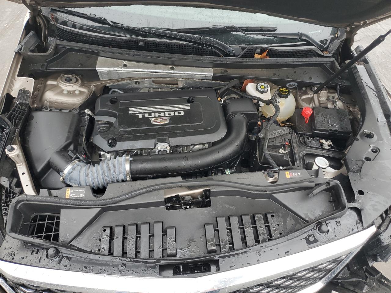 2024 Cadillac Xt4 Premium Luxury VIN: 1GYFZCR45RF190020 Lot: 93882075