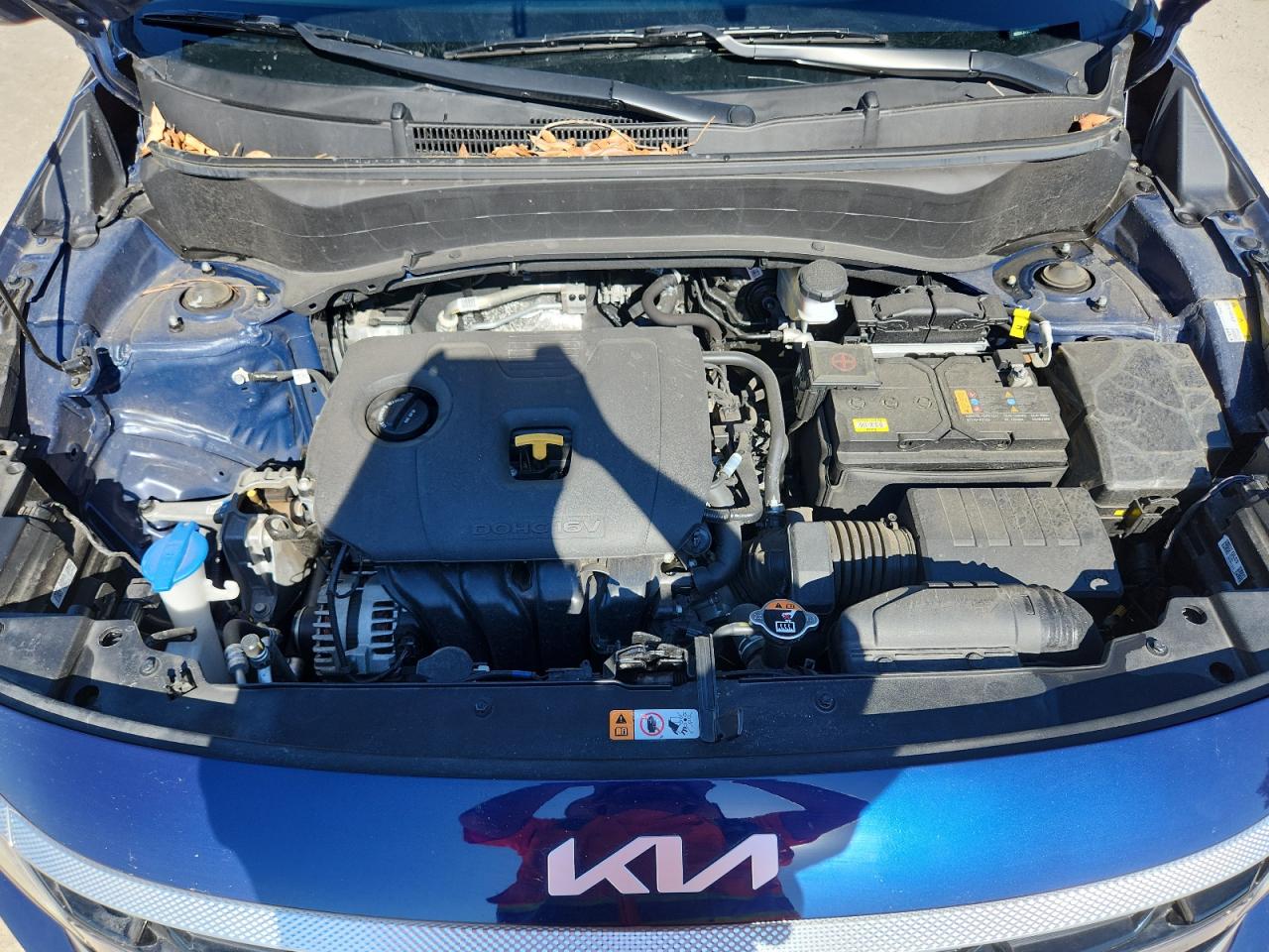 2024 Kia Seltos Ex VIN: KNDERCAA5R7599096 Lot: 92998305