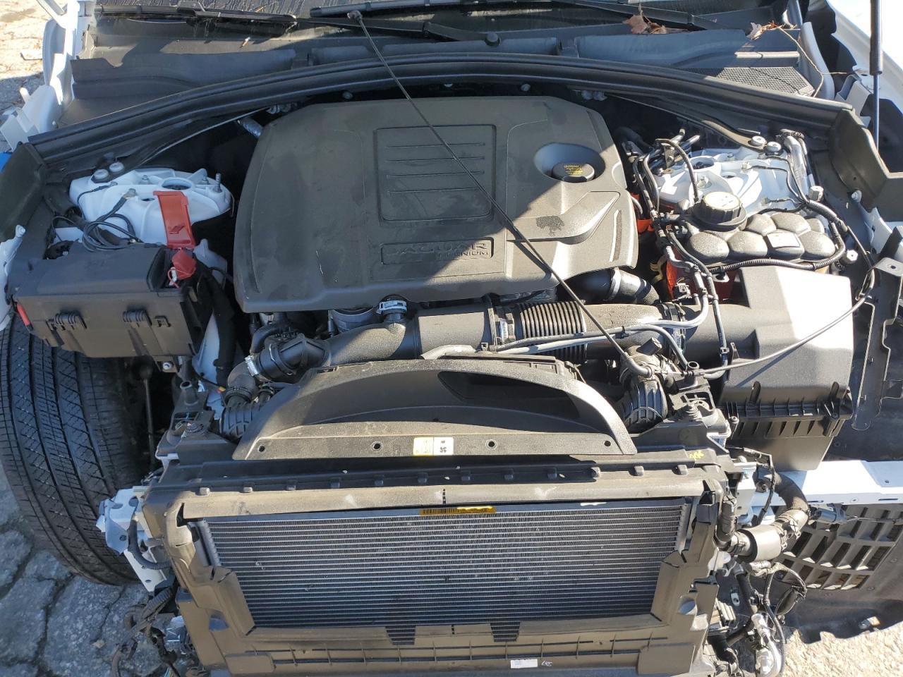 2024 Jaguar F-Pace R-Dynamic S VIN: SADCT2EX7RA731879 Lot: 90329255