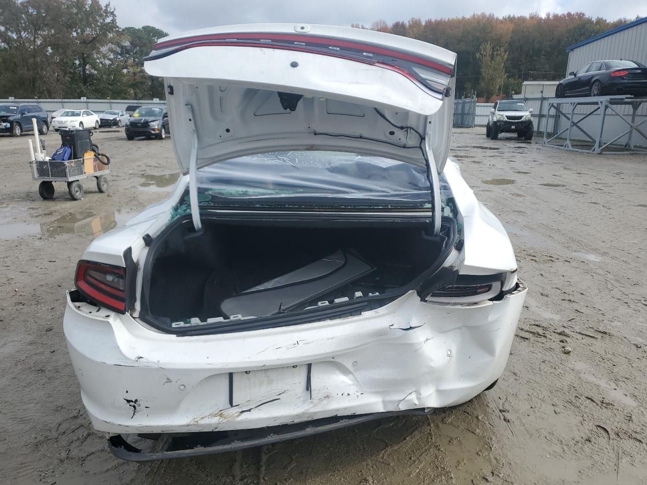 2017 Dodge Charger Police VIN: 2C3CDXKT3HH596301 Lot: 91011455