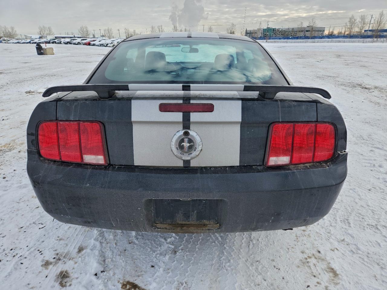 2006 Ford Mustang VIN: 1ZVFT80N765160252 Lot: 94958315