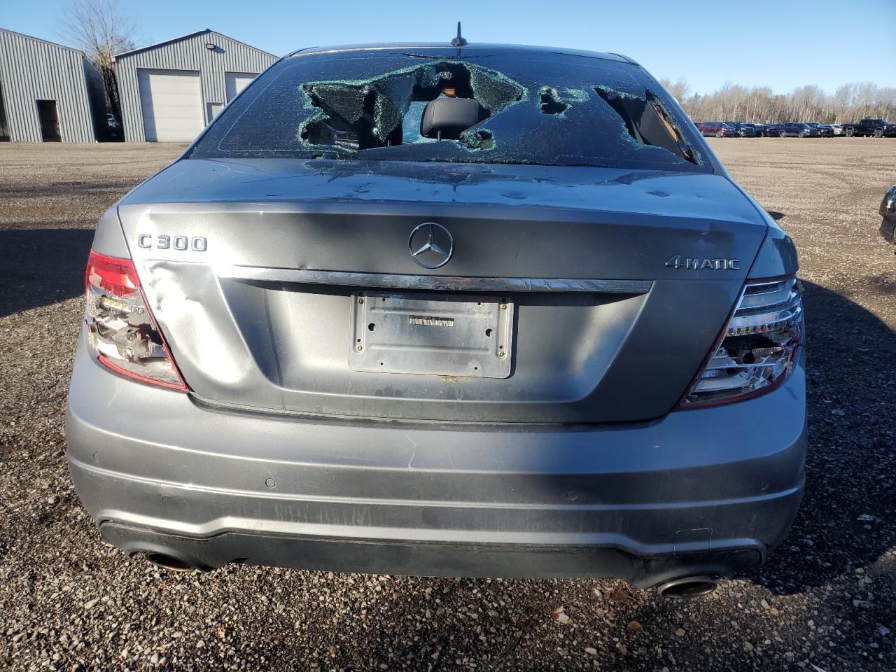 2013 Mercedes-Benz C 300 4Matic VIN: WDDGF8AB0DG120119 Lot: 91407965