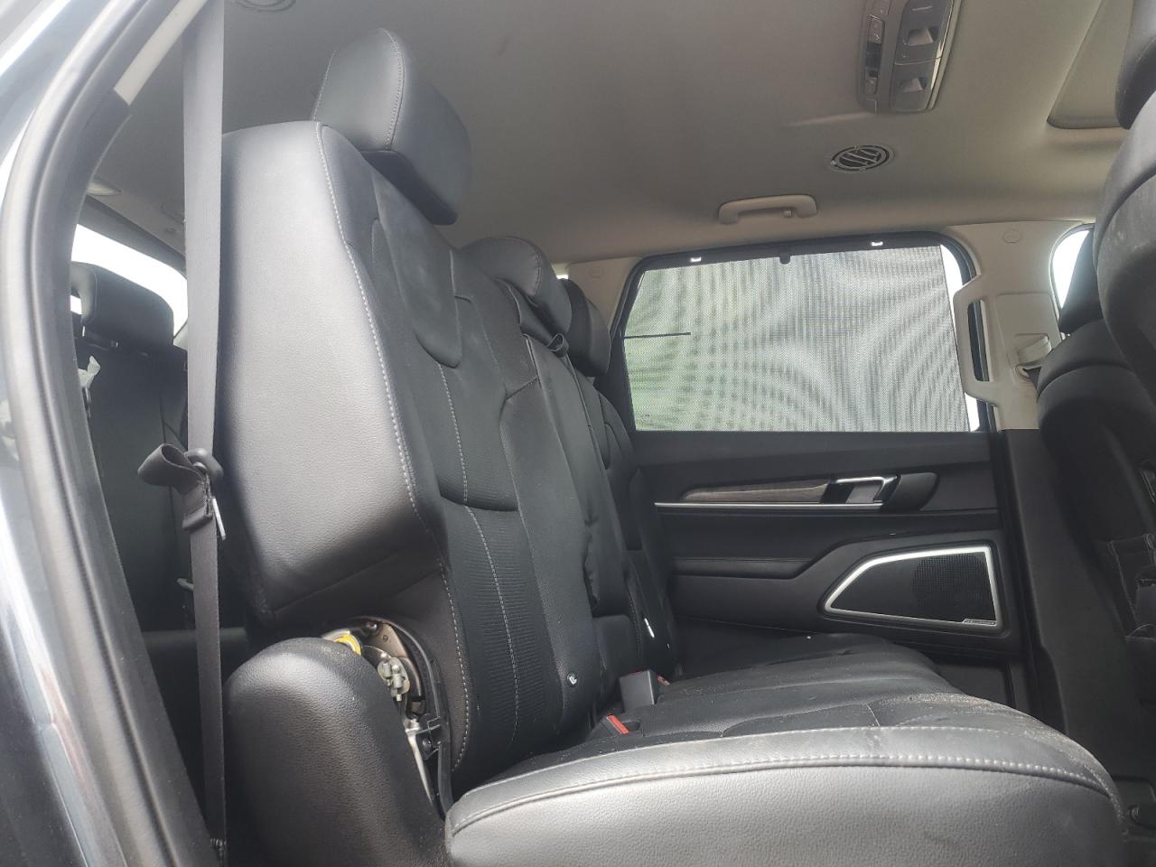 2020 Kia Telluride Ex VIN: 5XYP3DHC7LG022801 Lot: 91771635