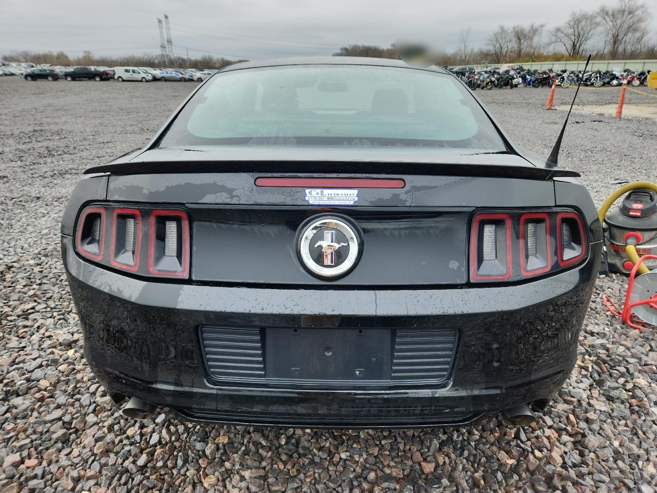2013 Ford Mustang VIN: 1ZVBP8AM7D5229768 Lot: 93453255