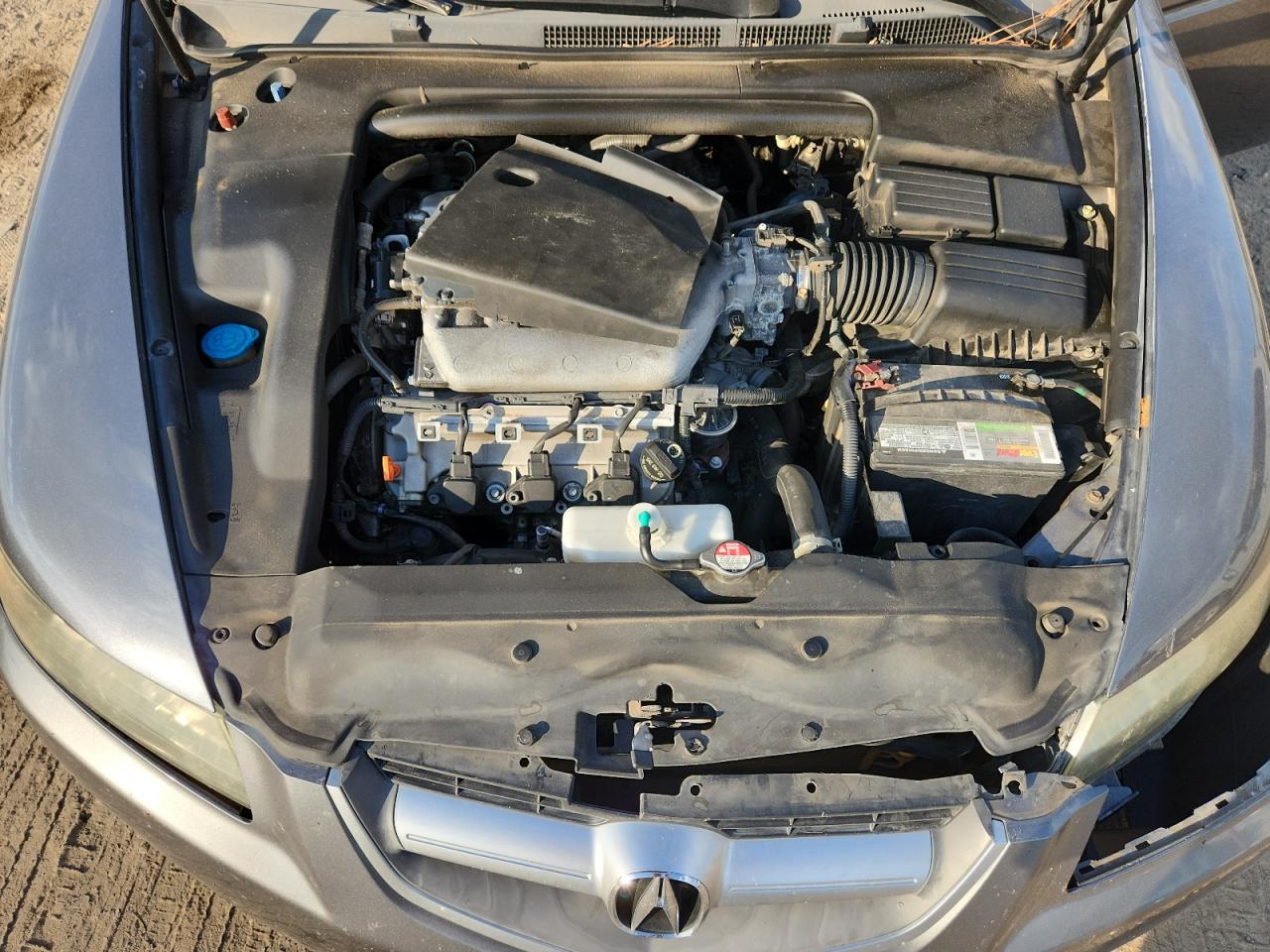 2006 Acura 3.2Tl VIN: 19UUA66226A008566 Lot: 92829885