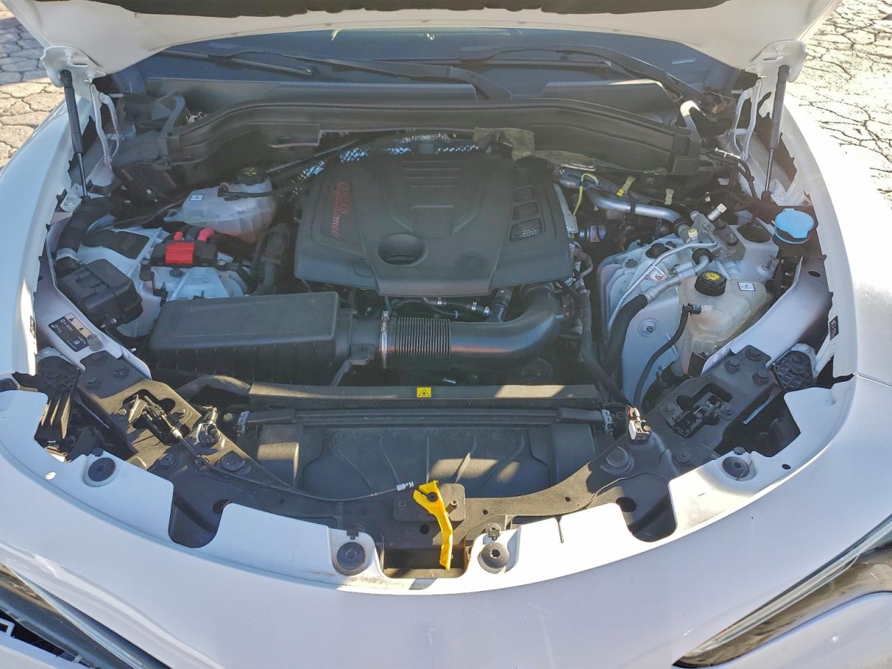 2022 Alfa Romeo Stelvio VIN: ZASPAKAN8N7D33649 Lot: 94256925