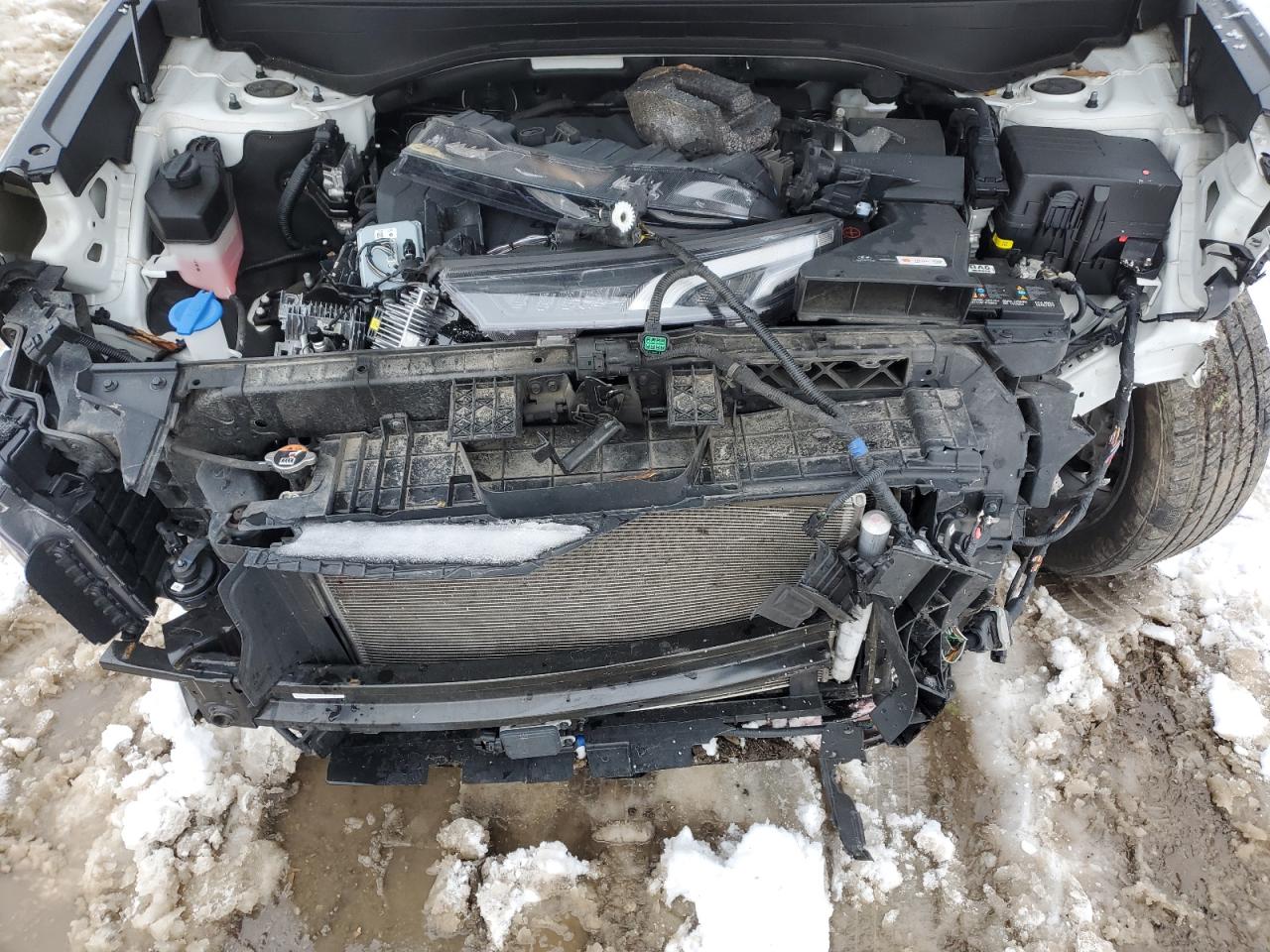 2022 Hyundai Palisade Sel VIN: KM8R3DHE7NU354339 Lot: 92095555