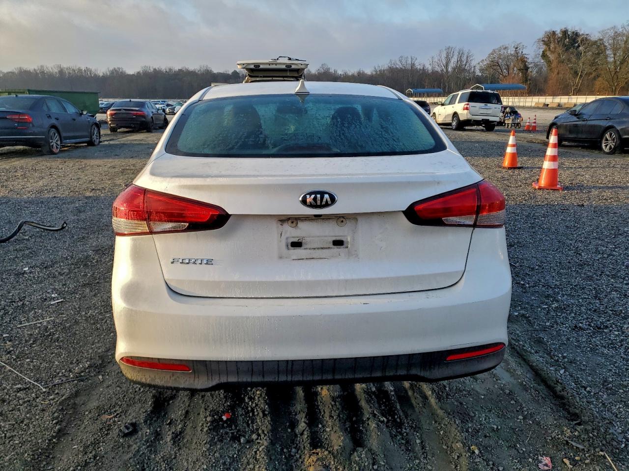 2017 Kia Forte Lx VIN: 3KPFL4A70HE131775 Lot: 94445705