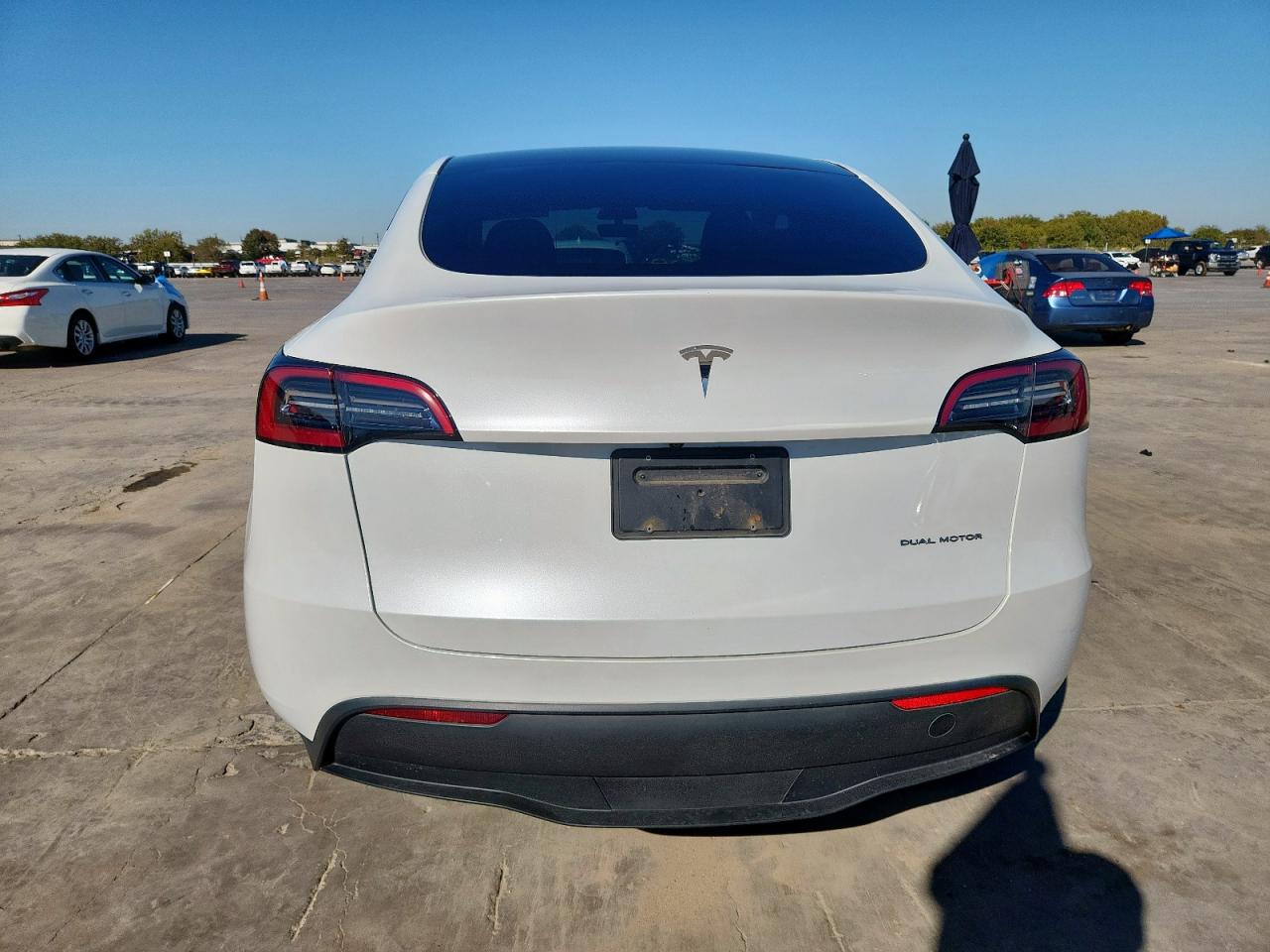 2023 Tesla Model Y VIN: 7SAYGDEE9PA123303 Lot: 90800945