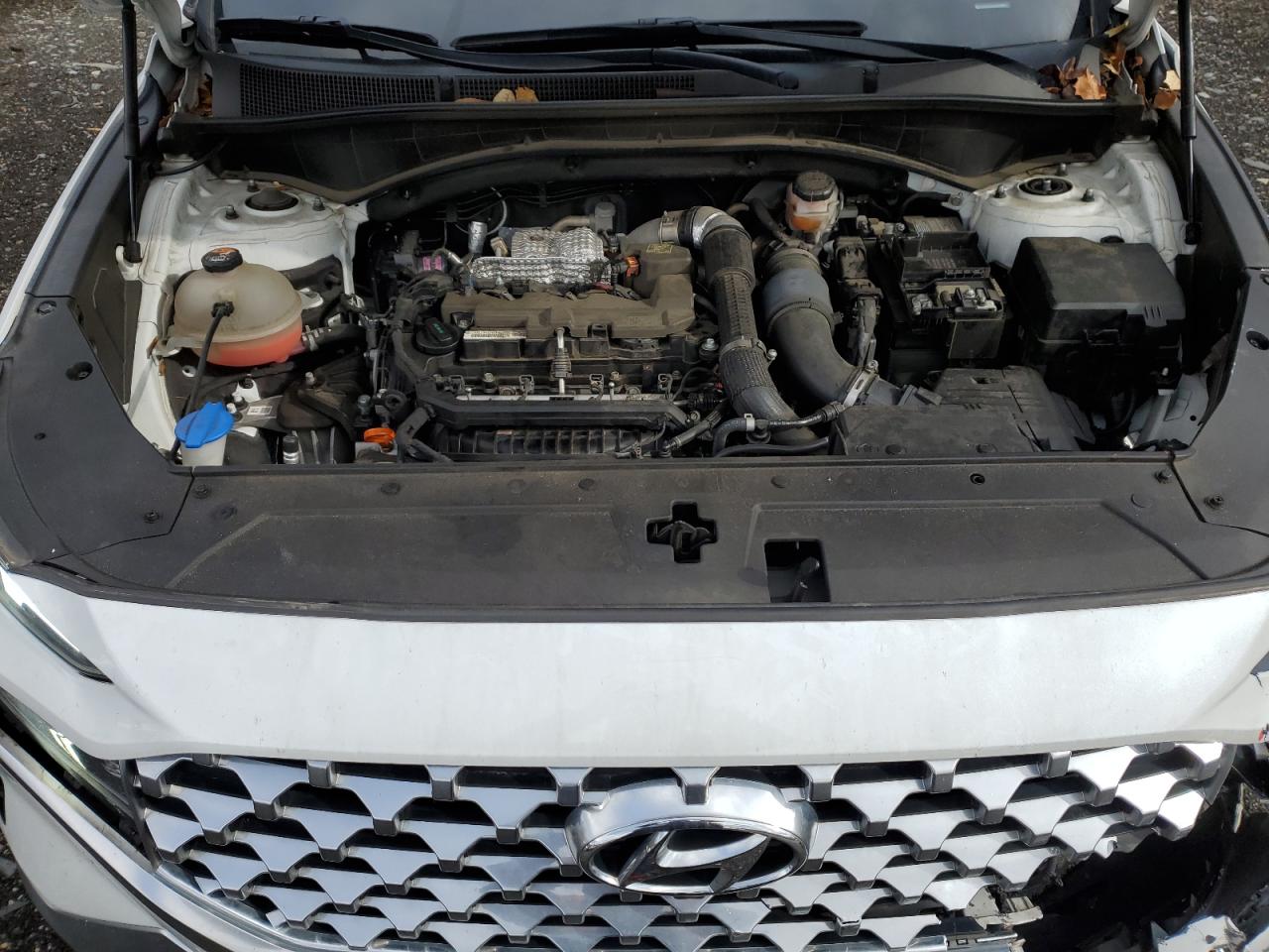 2021 Hyundai Santa Fe Limited VIN: 5NMS4DAL4MH354591 Lot: 91587365