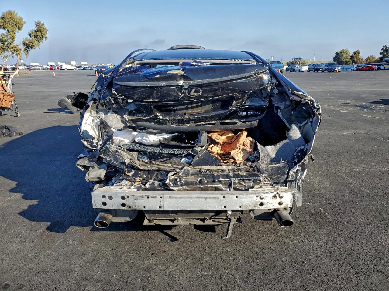 2006 Lexus Gs 300 VIN: JTHBH96SX65039882 Lot: 94119675