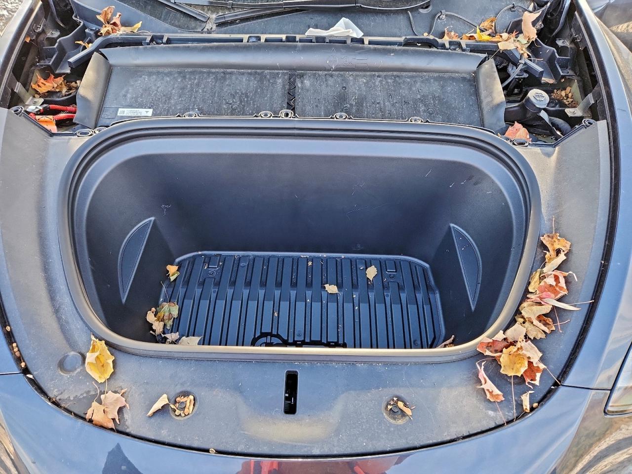 2024 Tesla Model Y VIN: 7SAYGDEEXRF063716 Lot: 92717385