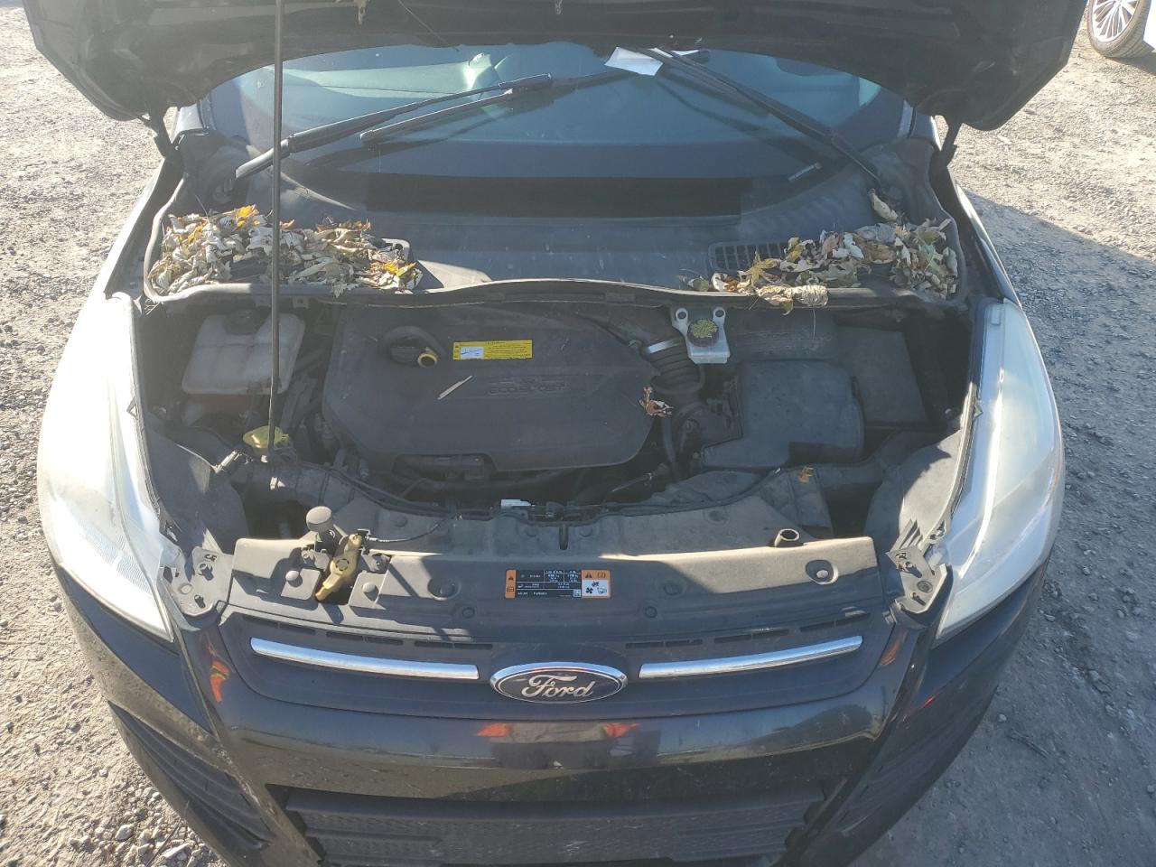 2015 Ford Escape Se VIN: 1FMCU0GX4FUB04346 Lot: 91611045