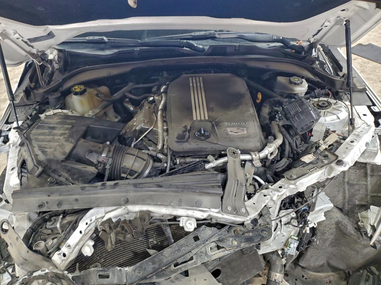 2020 Cadillac Ct4 Luxury VIN: 1G6DJ5RK1L0136032 Lot: 93328405