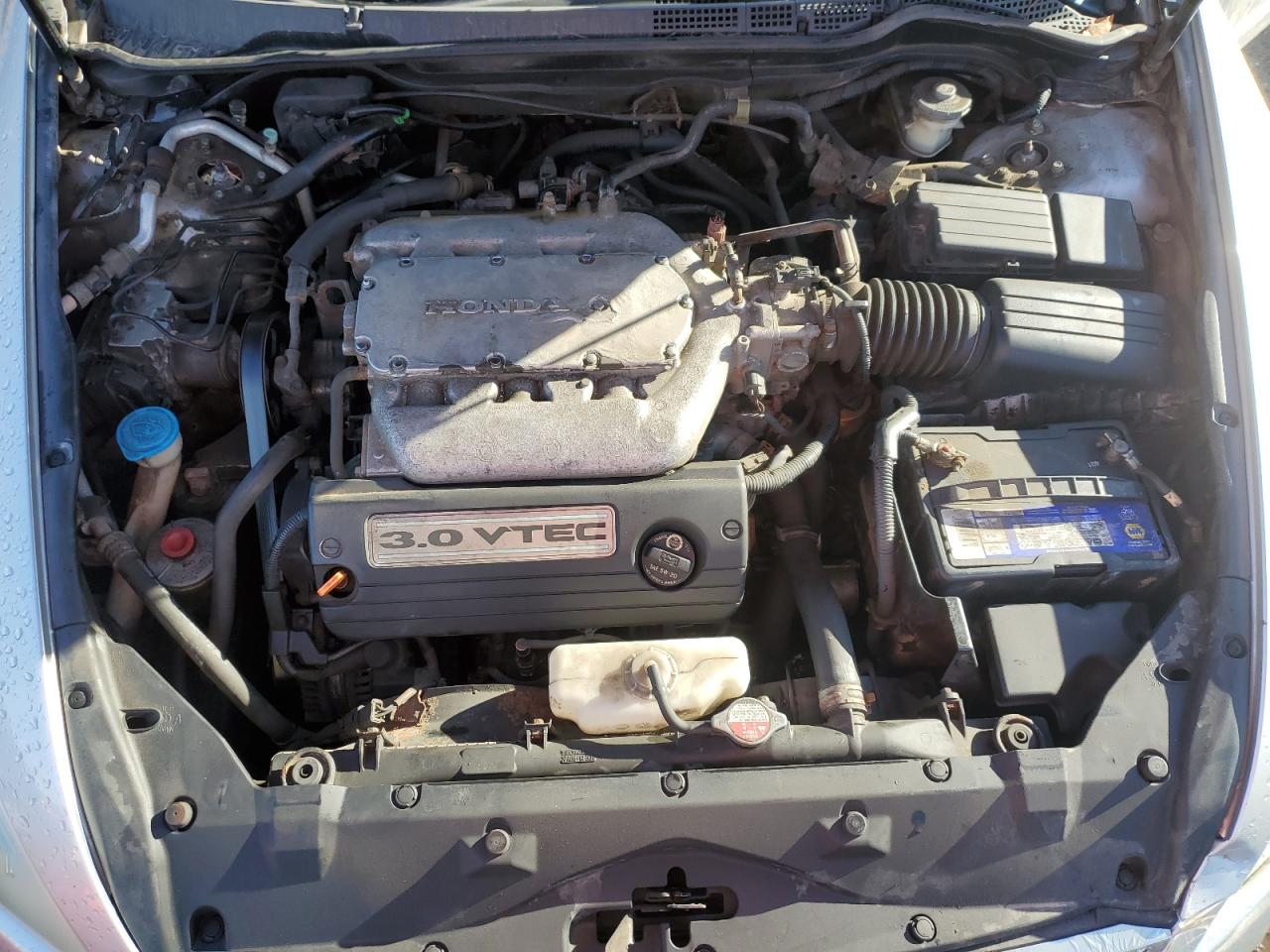 2006 Honda Accord Ex VIN: 1HGCM665X6A803541 Lot: 91626555