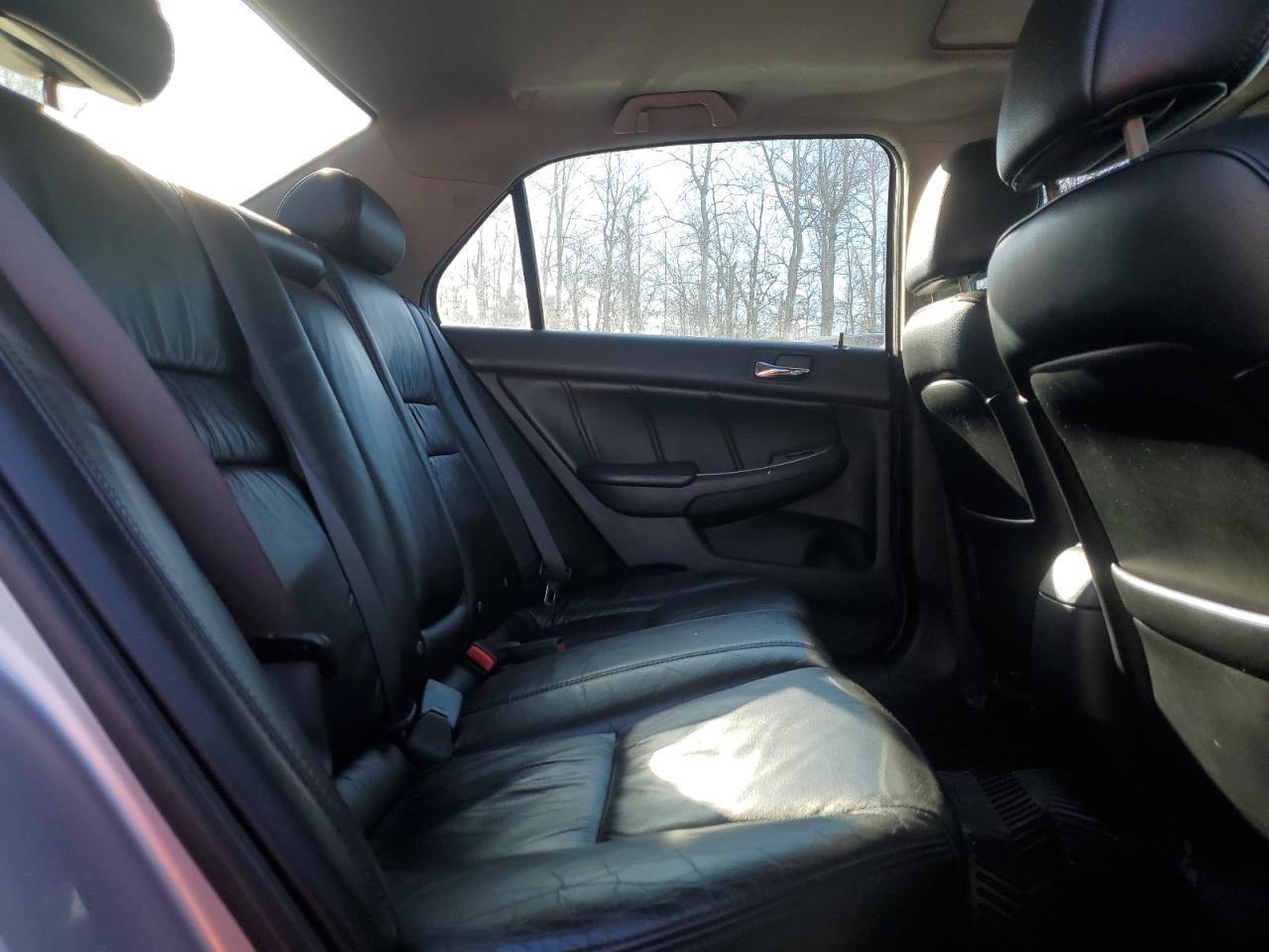 2006 Honda Accord Ex VIN: 1HGCM665X6A803541 Lot: 91626555