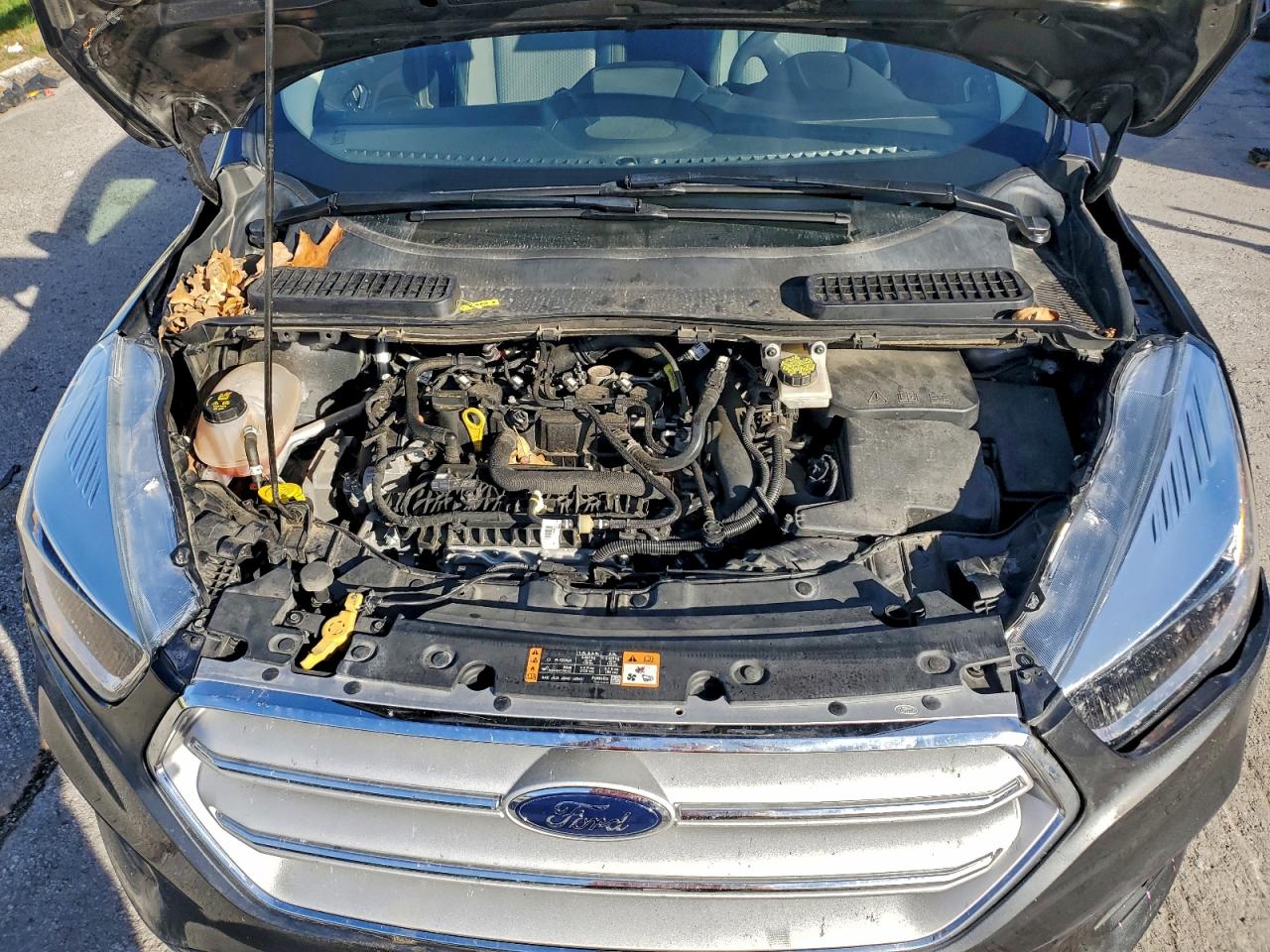 2019 Ford Escape Se VIN: 1FMCU9GD4KUC53473 Lot: 94394975