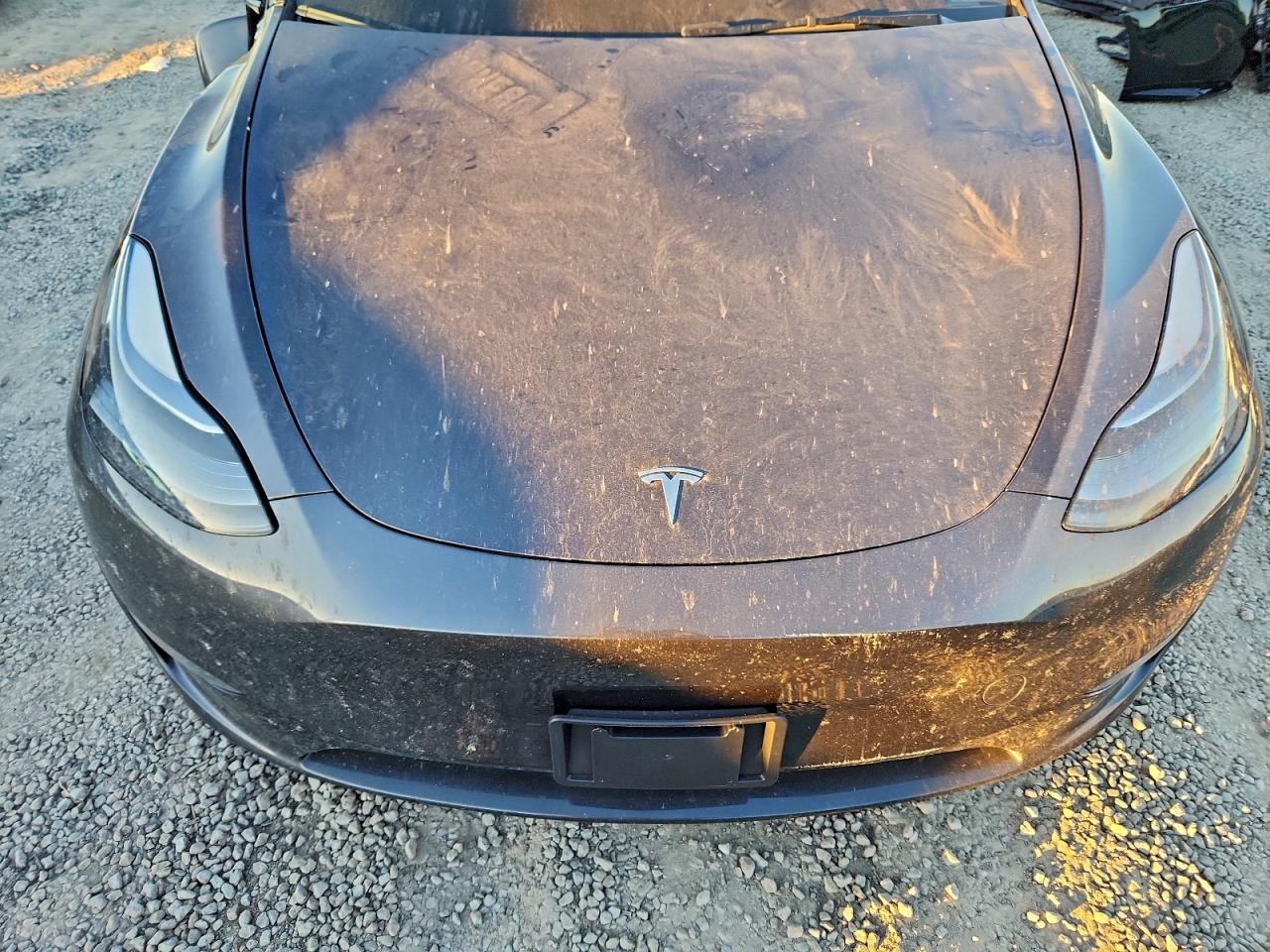 2024 Tesla Model Y VIN: 7SAYGDED3RF111807 Lot: 94389745