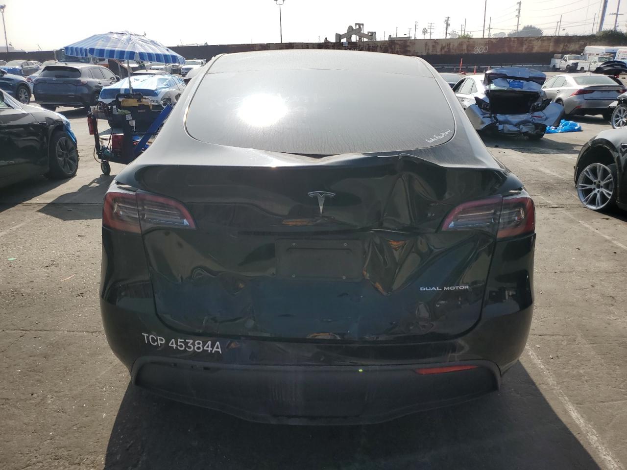2024 Tesla Model Y VIN: 7SAYGDEEXRA263234 Lot: 90644805