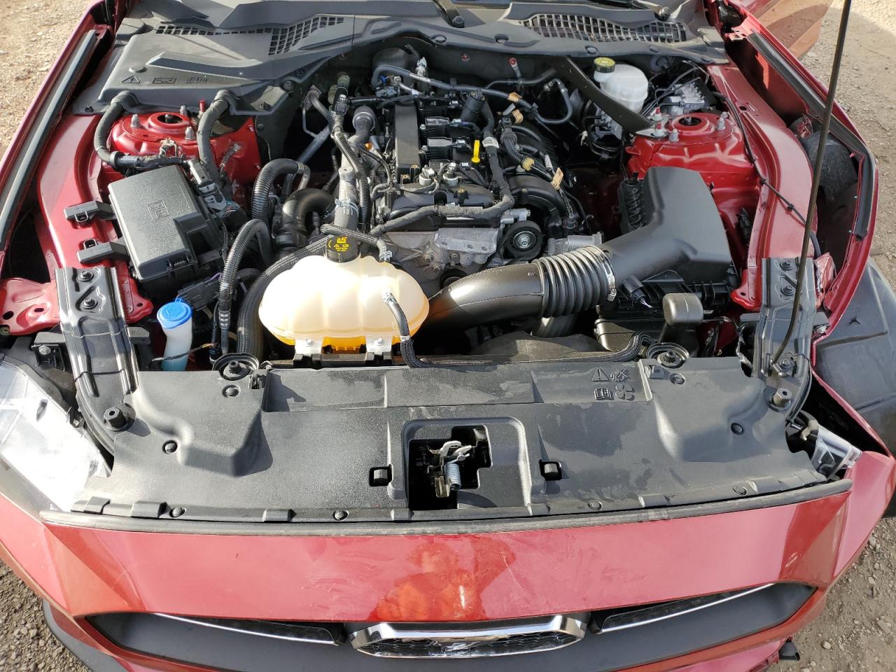 2021 Ford Mustang VIN: 1FATP8UH4M5148058 Lot: 91792155