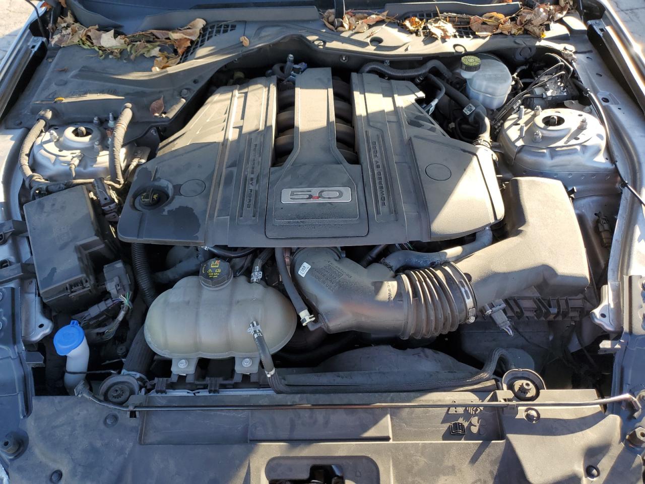 2022 Ford Mustang Gt VIN: 1FA6P8CF6N5136234 Lot: 91149455