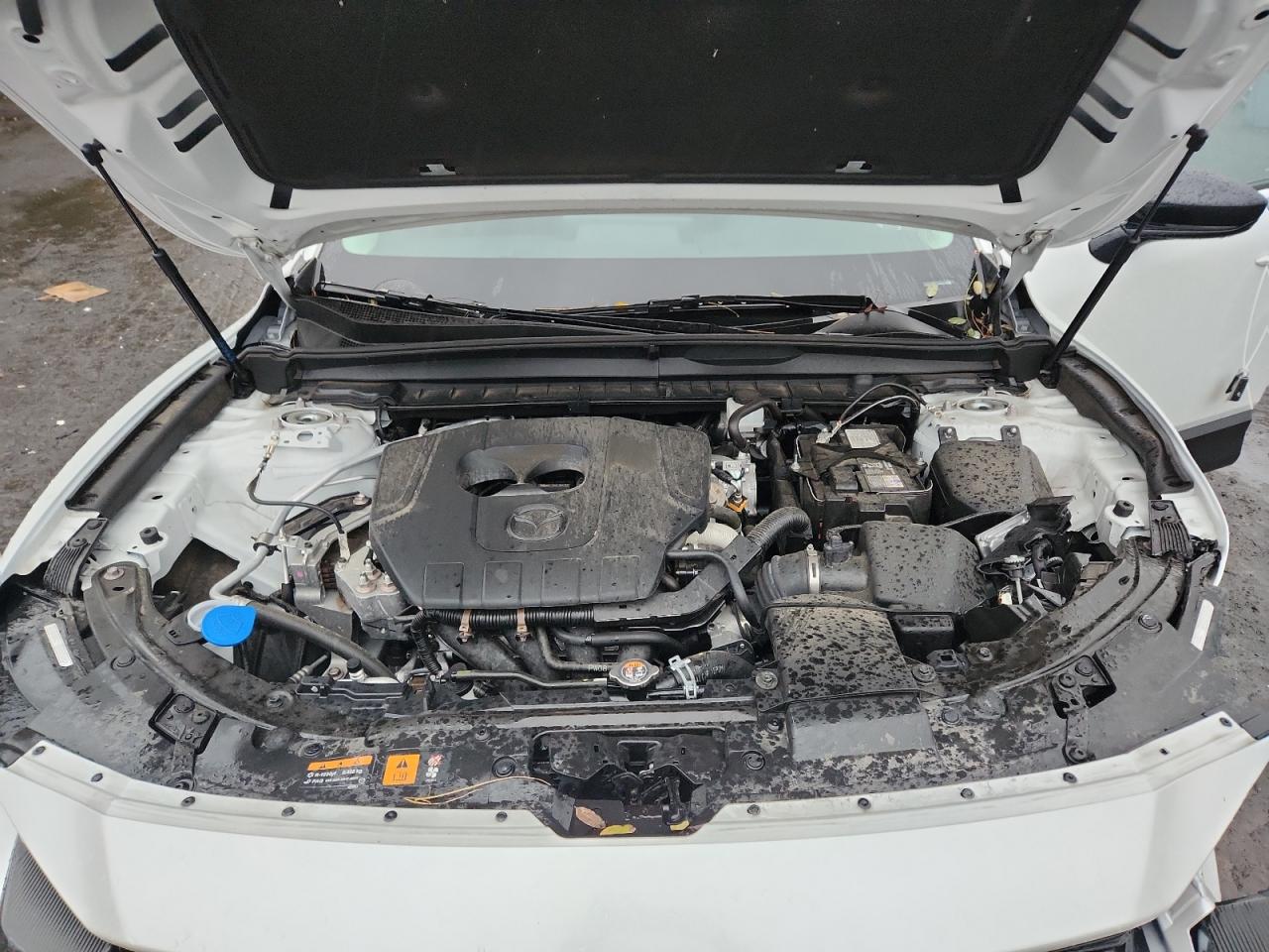 2025 Mazda Cx-50 Preferred VIN: 7MMVABBM3SN301429 Lot: 90939575