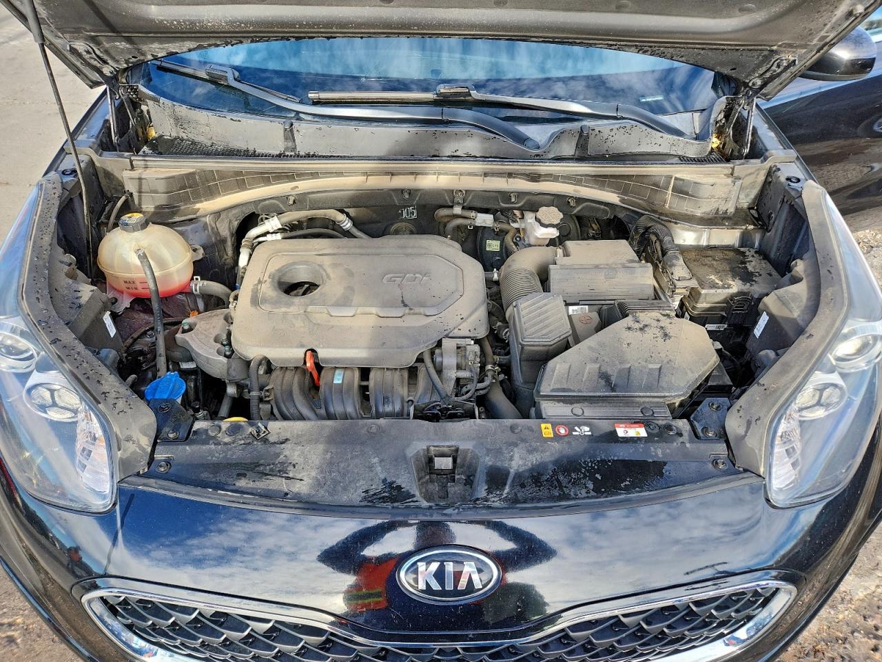 2021 Kia Sportage Lx VIN: KNDPMCAC5M7877884 Lot: 93355515