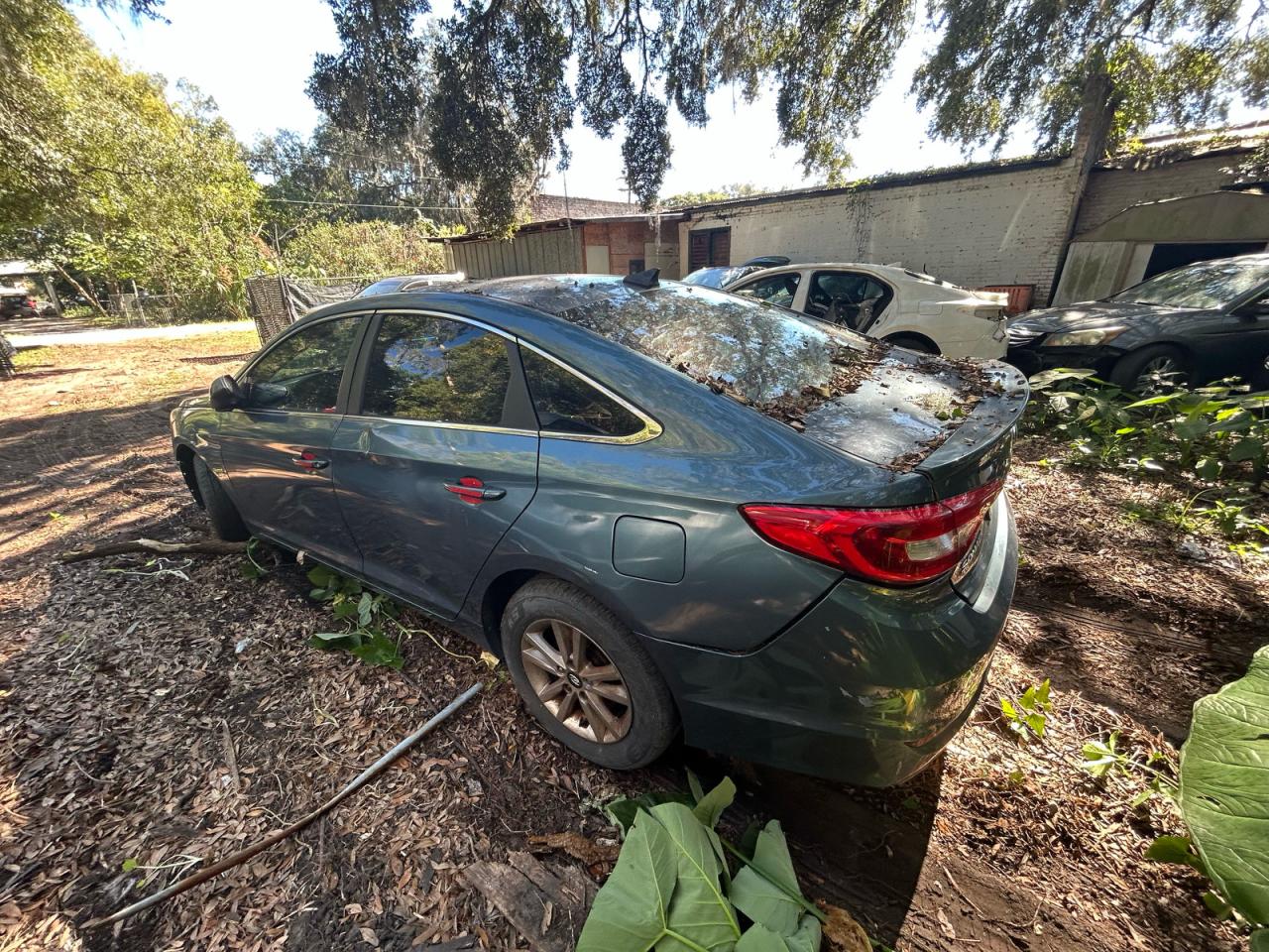 2016 Hyundai Sonata Se blue sedan gas 5NPE24AF7GH268034 photo #4