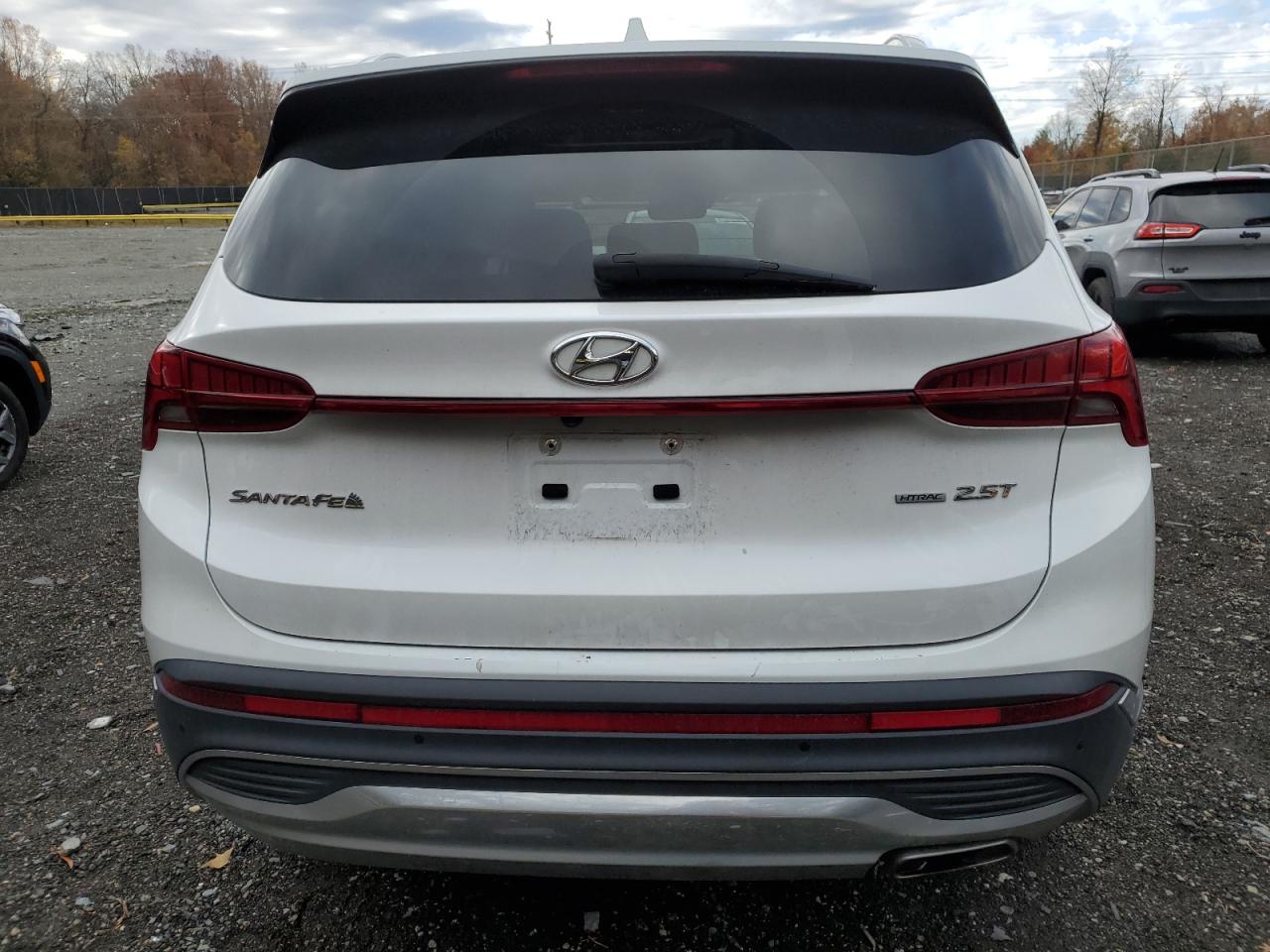 2021 Hyundai Santa Fe Limited VIN: 5NMS4DAL4MH354591 Lot: 91587365