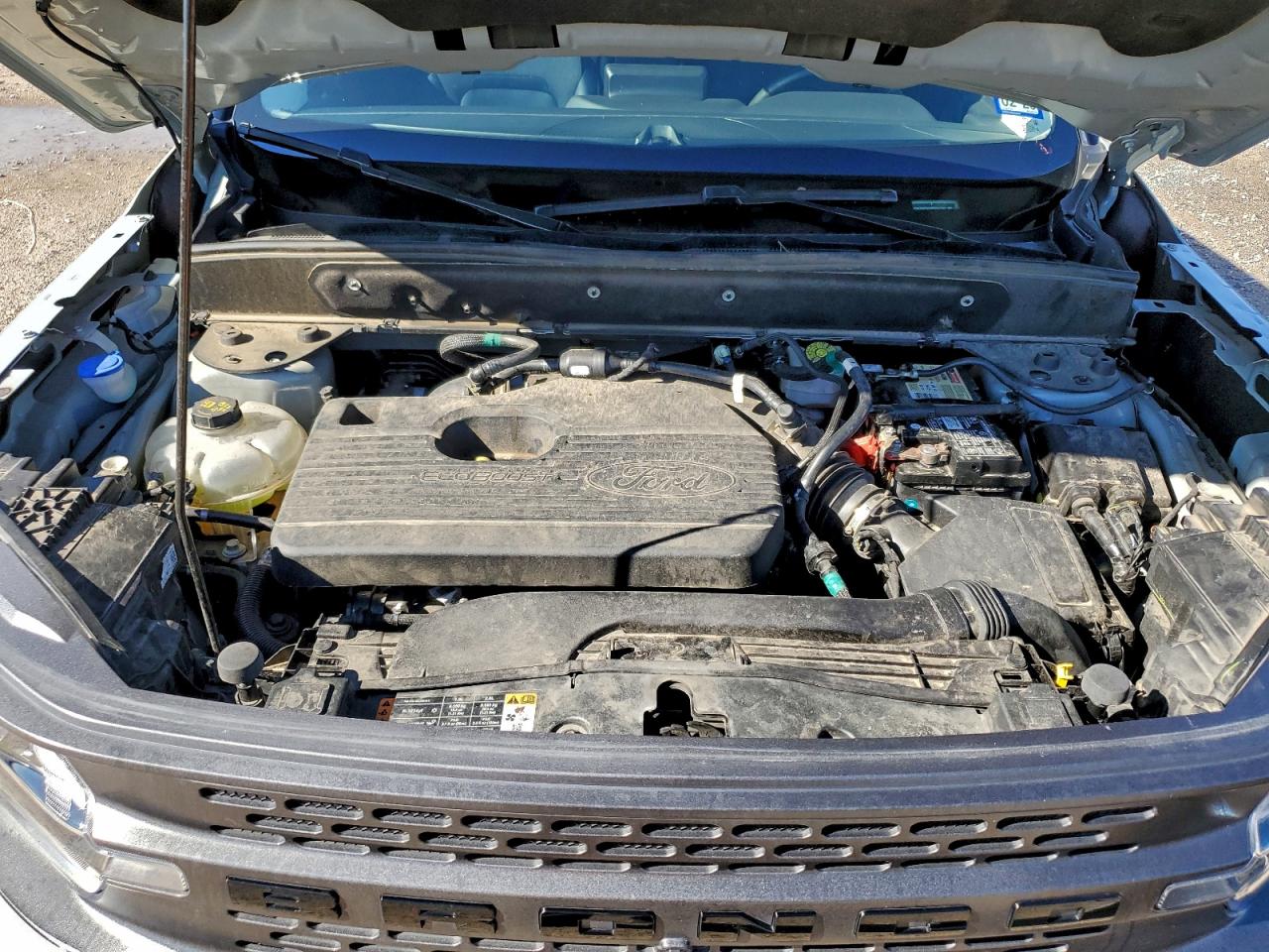 2021 Ford Bronco Sport First Edition VIN: 3FMCR9F99MRA67520 Lot: 93483905