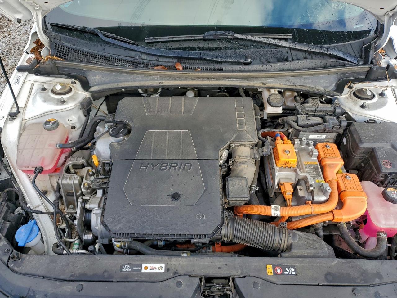 2022 Hyundai Elantra Blue VIN: KMHLM4AJ8NU020766 Lot: 94488375