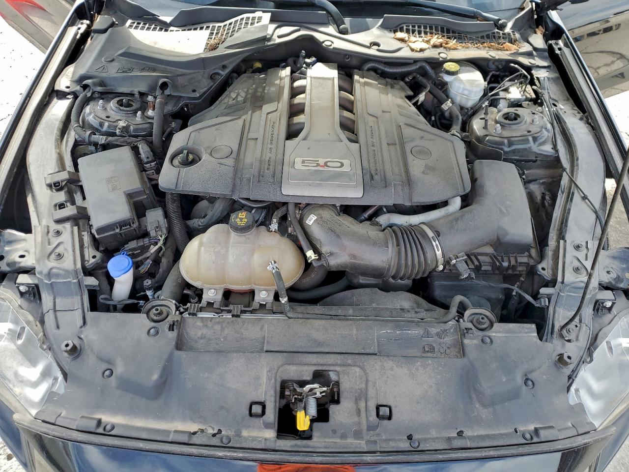 2020 Ford Mustang Gt VIN: 1FA6P8CF7L5123067 Lot: 93945575