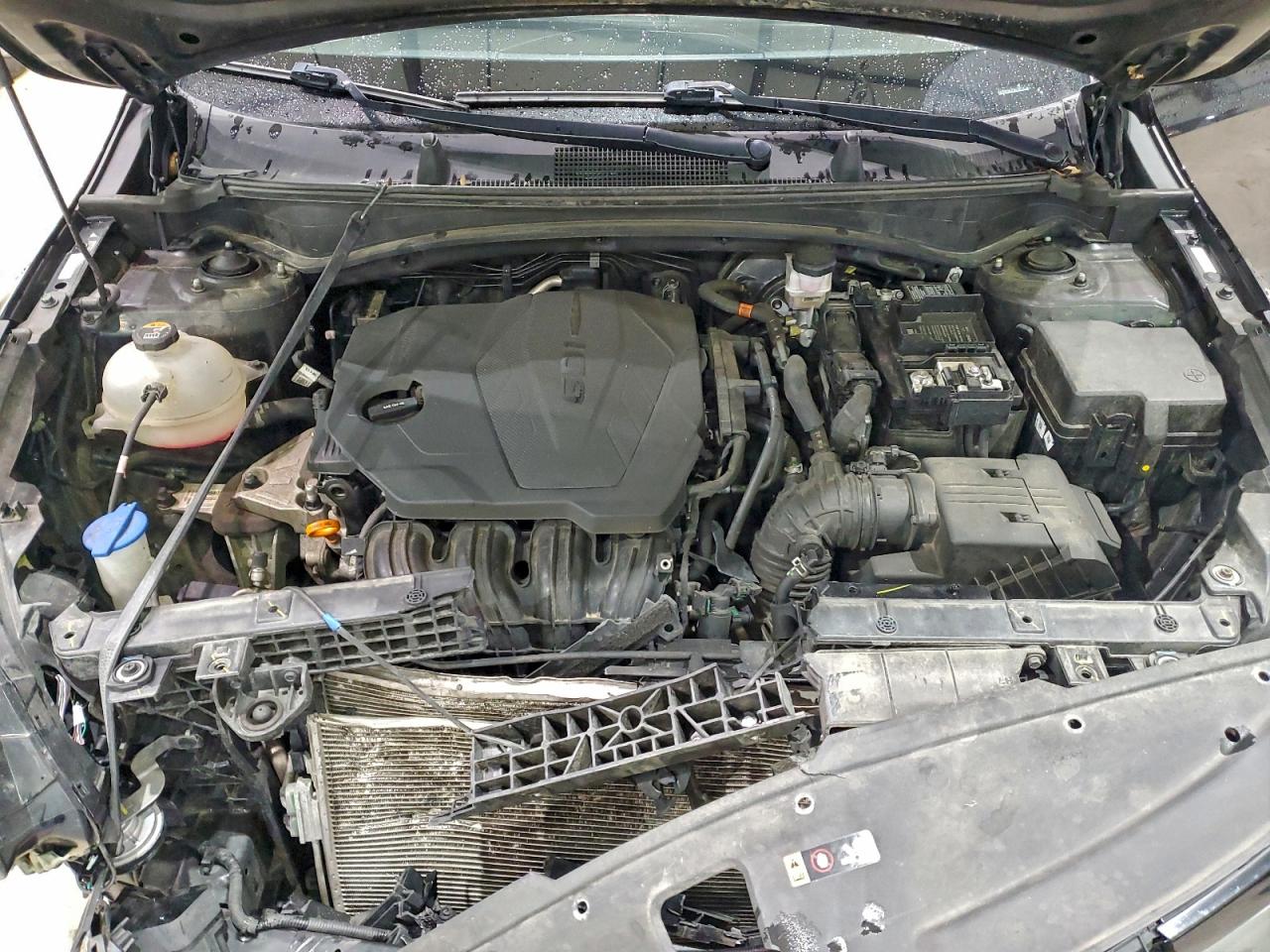 2023 Kia Sportage X Line VIN: 5XYK6CAF5PG124717 Lot: 93686175