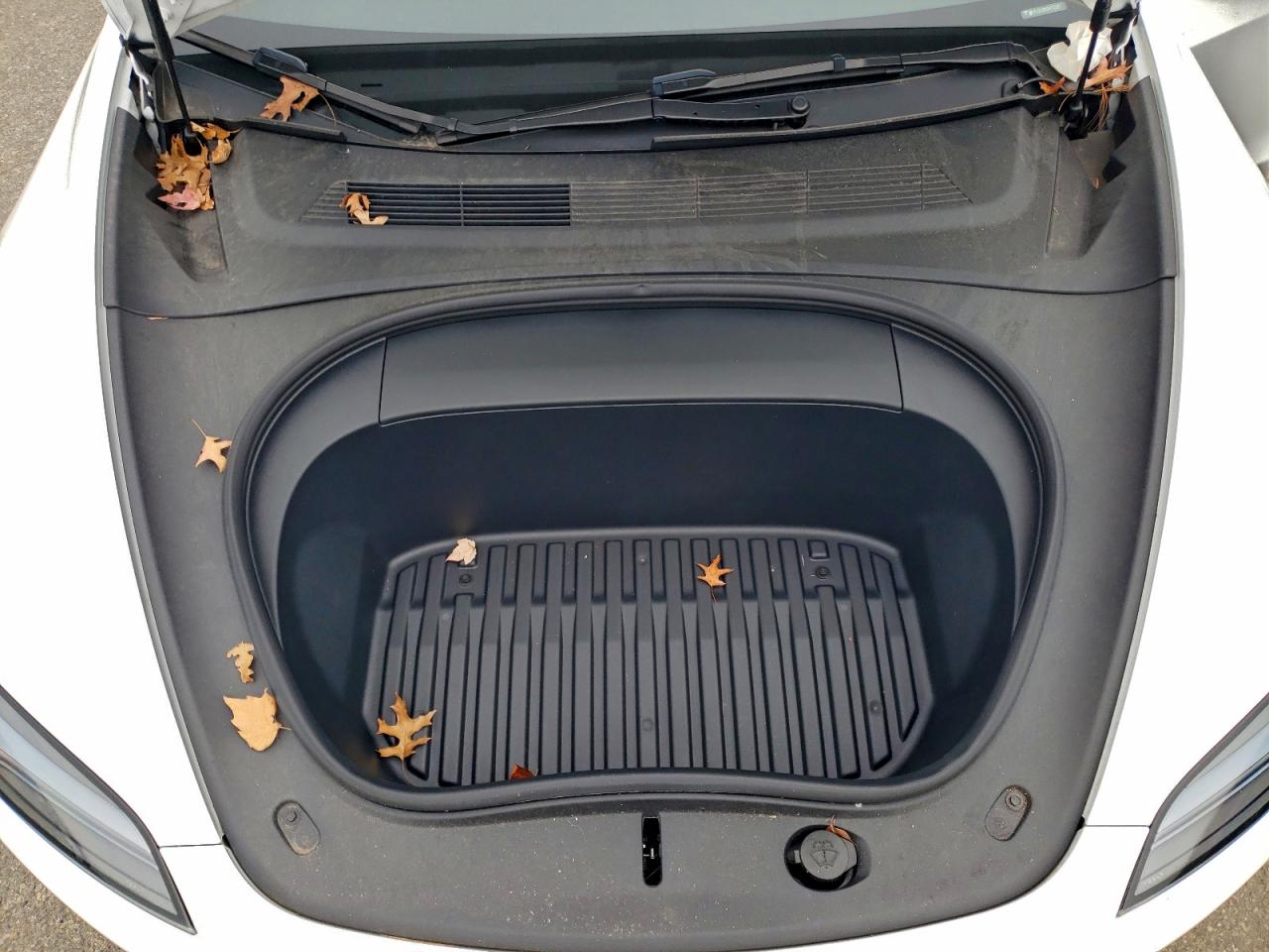 2024 Tesla Model 3 VIN: 5YJ3E1EB9RF772297 Lot: 92964285