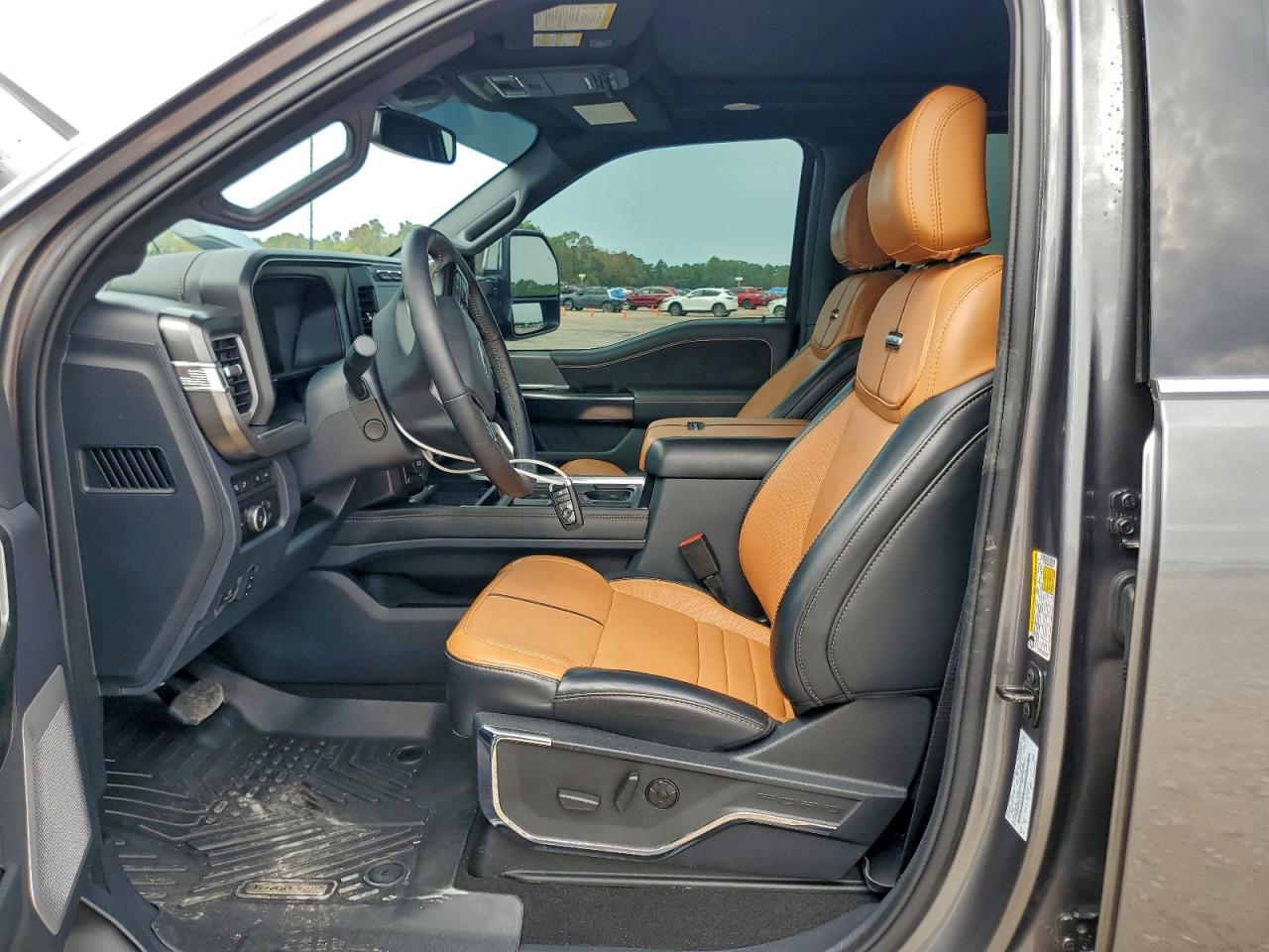 2024 Ford F250 Super Duty VIN: 1FT8W2BM9REE83873 Lot: 94249055