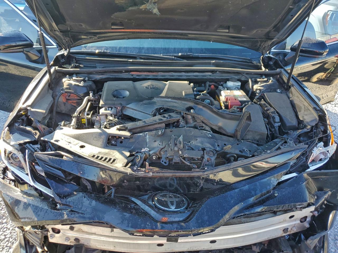 2020 Toyota Camry Le VIN: 4T1C11AK7LU360956 Lot: 93890865