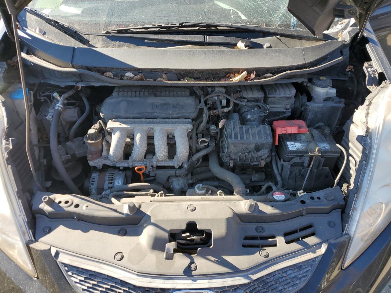 2011 Honda Fit Sport VIN: JHMGE8H50BC002040 Lot: 90717135