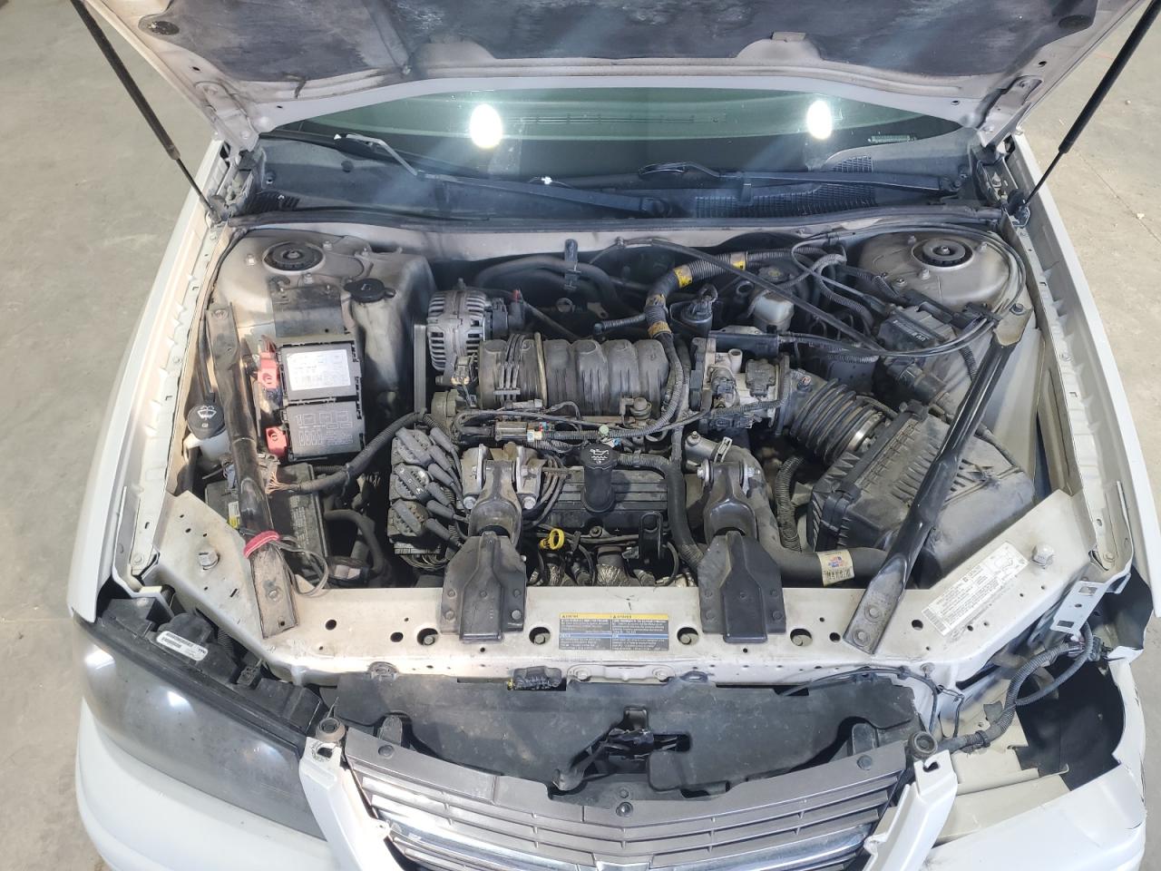 2004 Chevrolet Impala Ls VIN: 2G1WH52KX49432355 Lot: 92419695