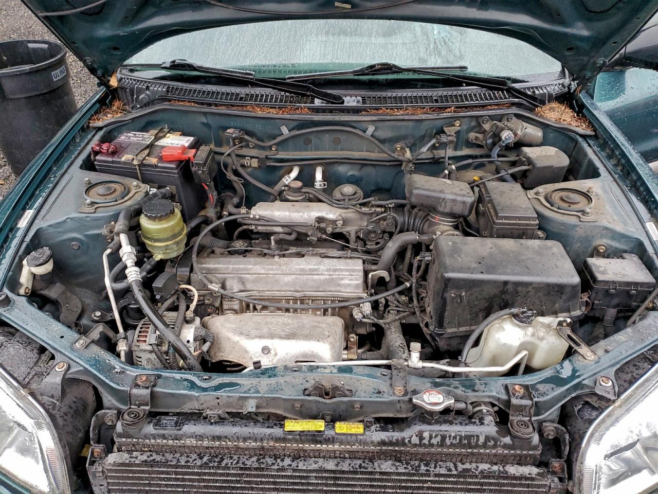 1998 Toyota Rav4 VIN: JT3HP10V0W0198107 Lot: 93528915